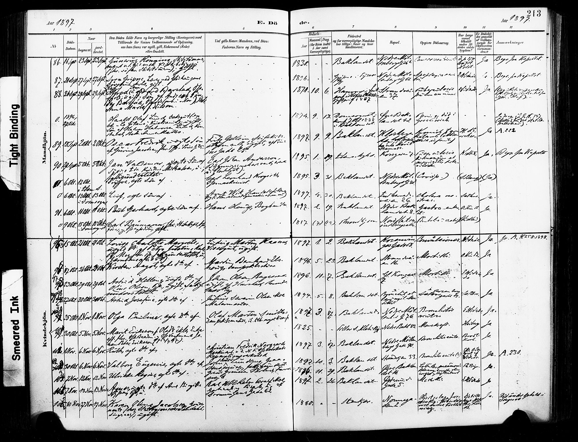 Ministerialprotokoller, klokkerbøker og fødselsregistre - Sør-Trøndelag, AV/SAT-A-1456/604/L0198: Ministerialbok nr. 604A19, 1893-1900, s. 213