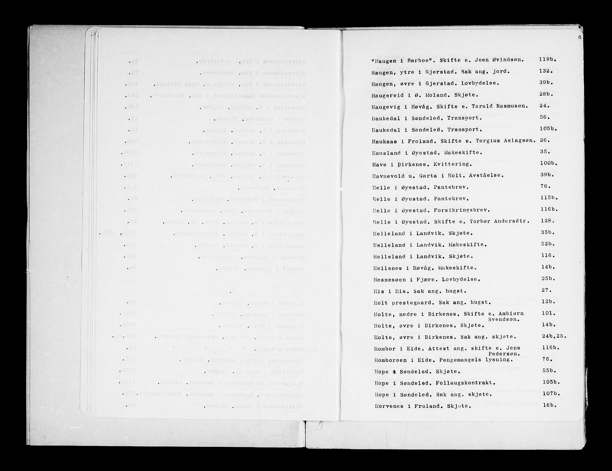 Nedenes sorenskriveri før 1824, AV/SAK-1221-0007/F/Fa/L0012: Tingbok med register nr 7b, 1704-1706