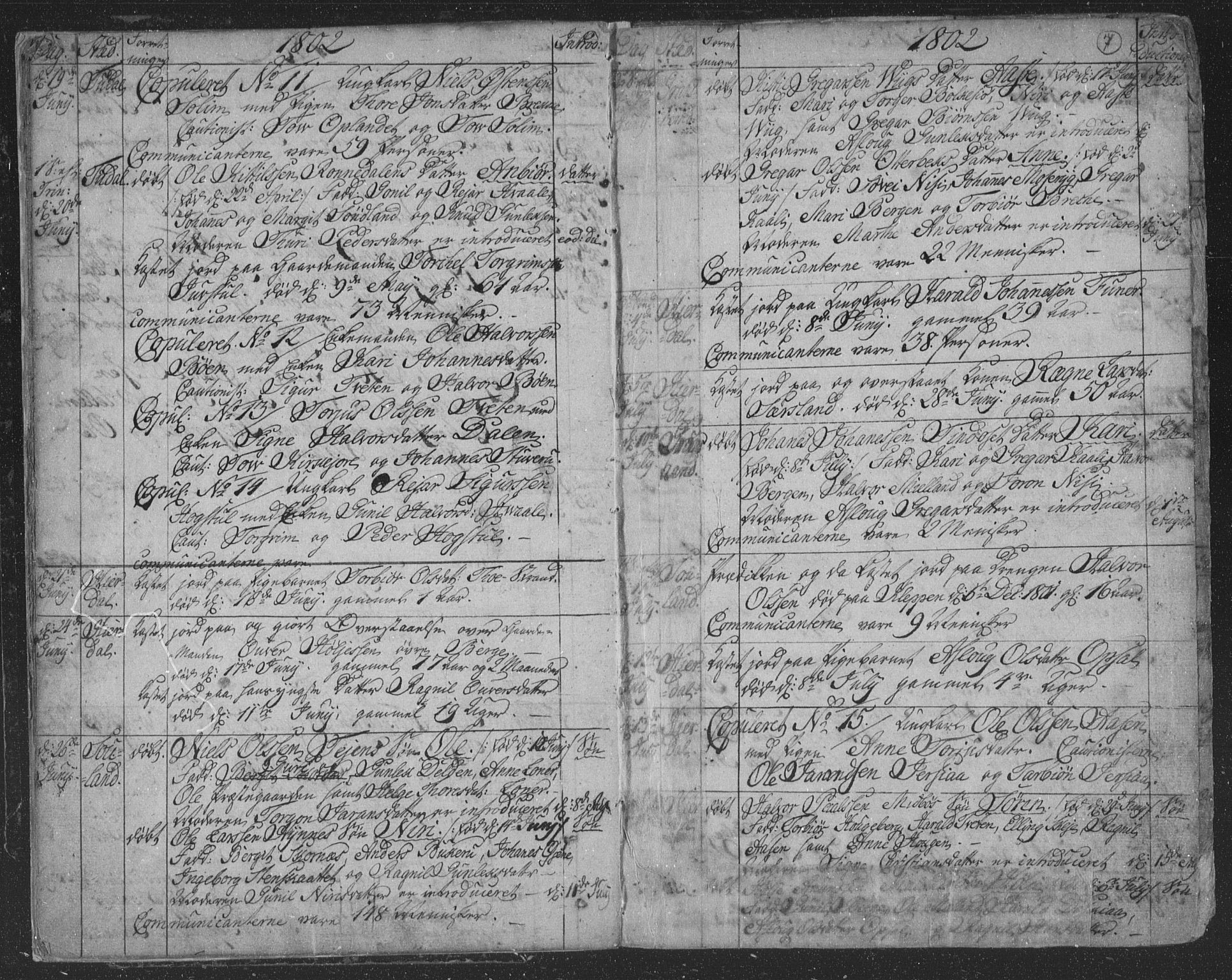 Hjartdal kirkebøker, SAKO/A-270/F/Fa/L0006: Ministerialbok nr. I 6, 1801-1814, s. 7
