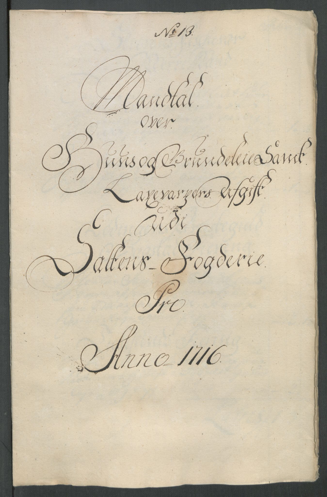 Rentekammeret inntil 1814, Reviderte regnskaper, Fogderegnskap, RA/EA-4092/R66/L4586: Fogderegnskap Salten, 1716, s. 172