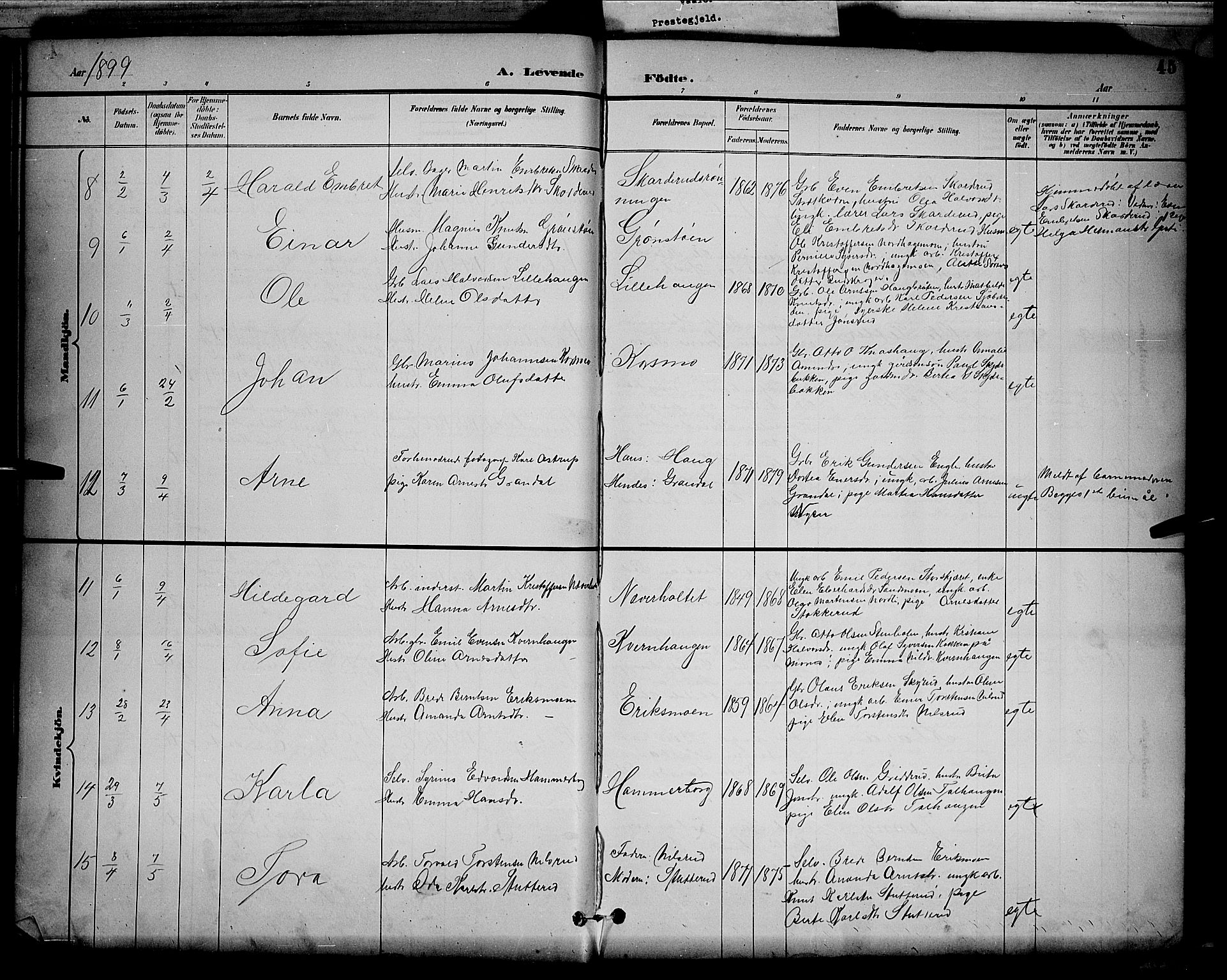 Våler prestekontor, Hedmark, AV/SAH-PREST-040/H/Ha/Hab/L0001: Klokkerbok nr. 1, 1894-1904, s. 45
