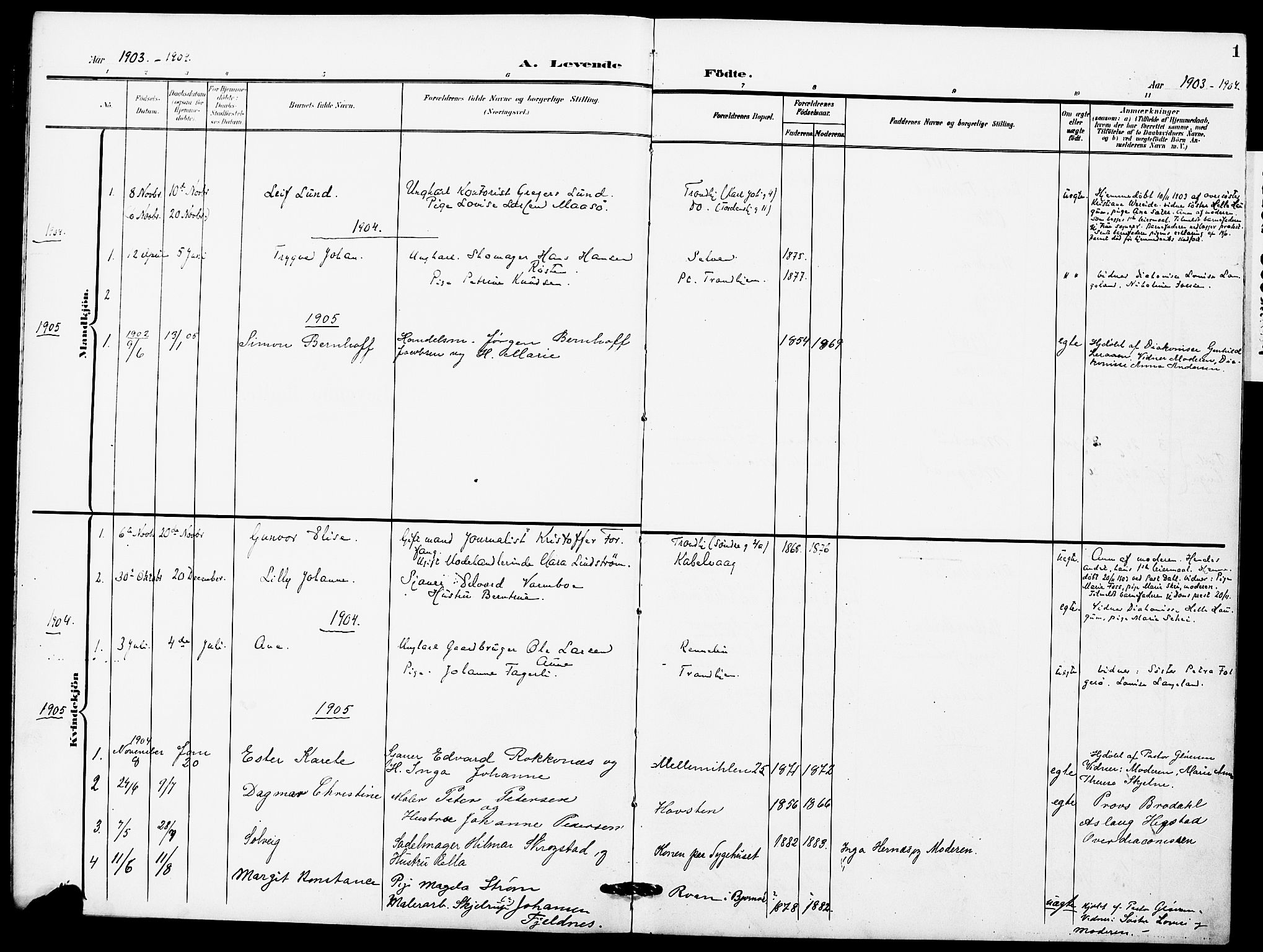 Ministerialprotokoller, klokkerbøker og fødselsregistre - Sør-Trøndelag, AV/SAT-A-1456/628/L0483: Ministerialbok nr. 628A01, 1902-1920, s. 1