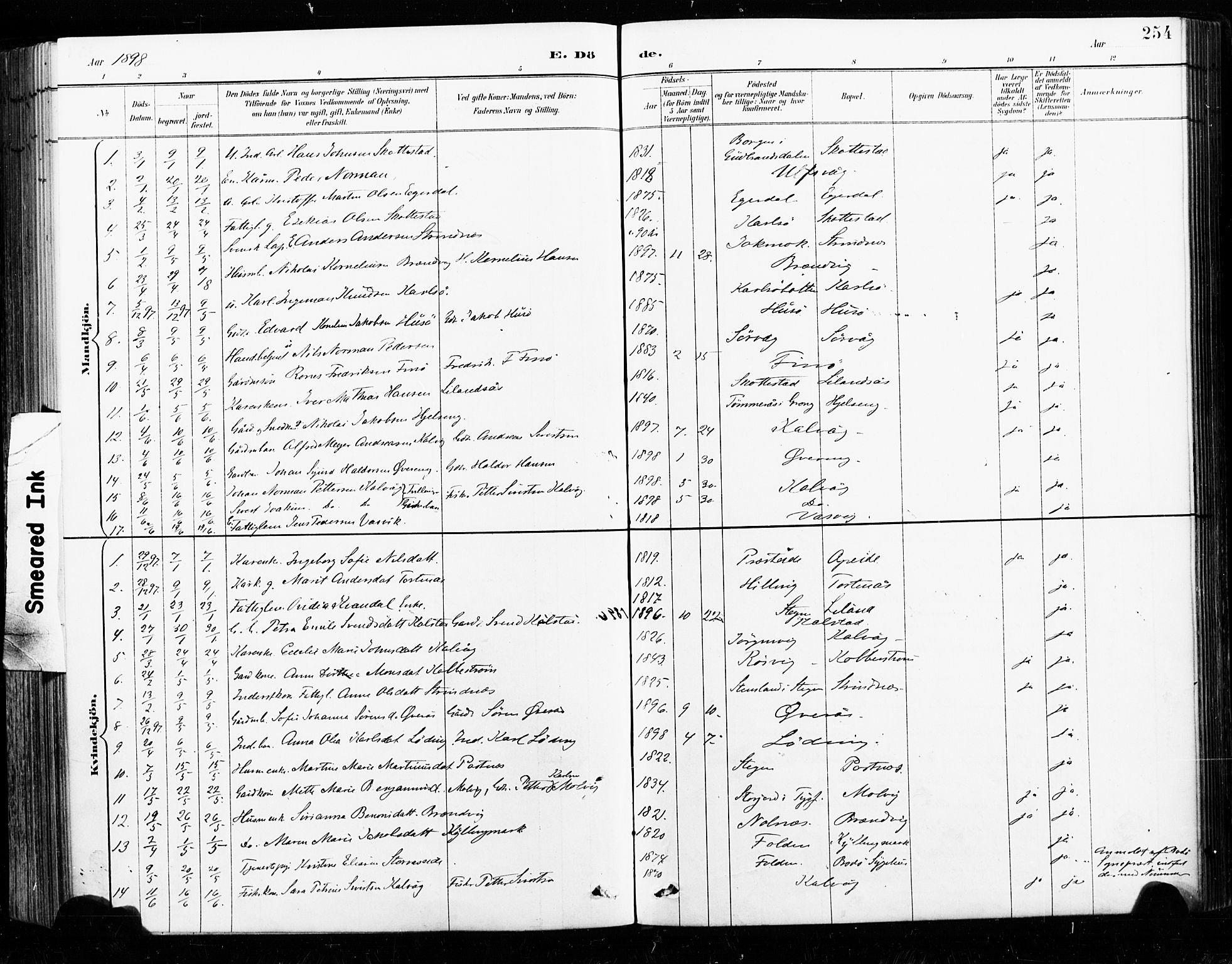 Ministerialprotokoller, klokkerbøker og fødselsregistre - Nordland, SAT/A-1459/859/L0847: Ministerialbok nr. 859A07, 1890-1899, s. 254