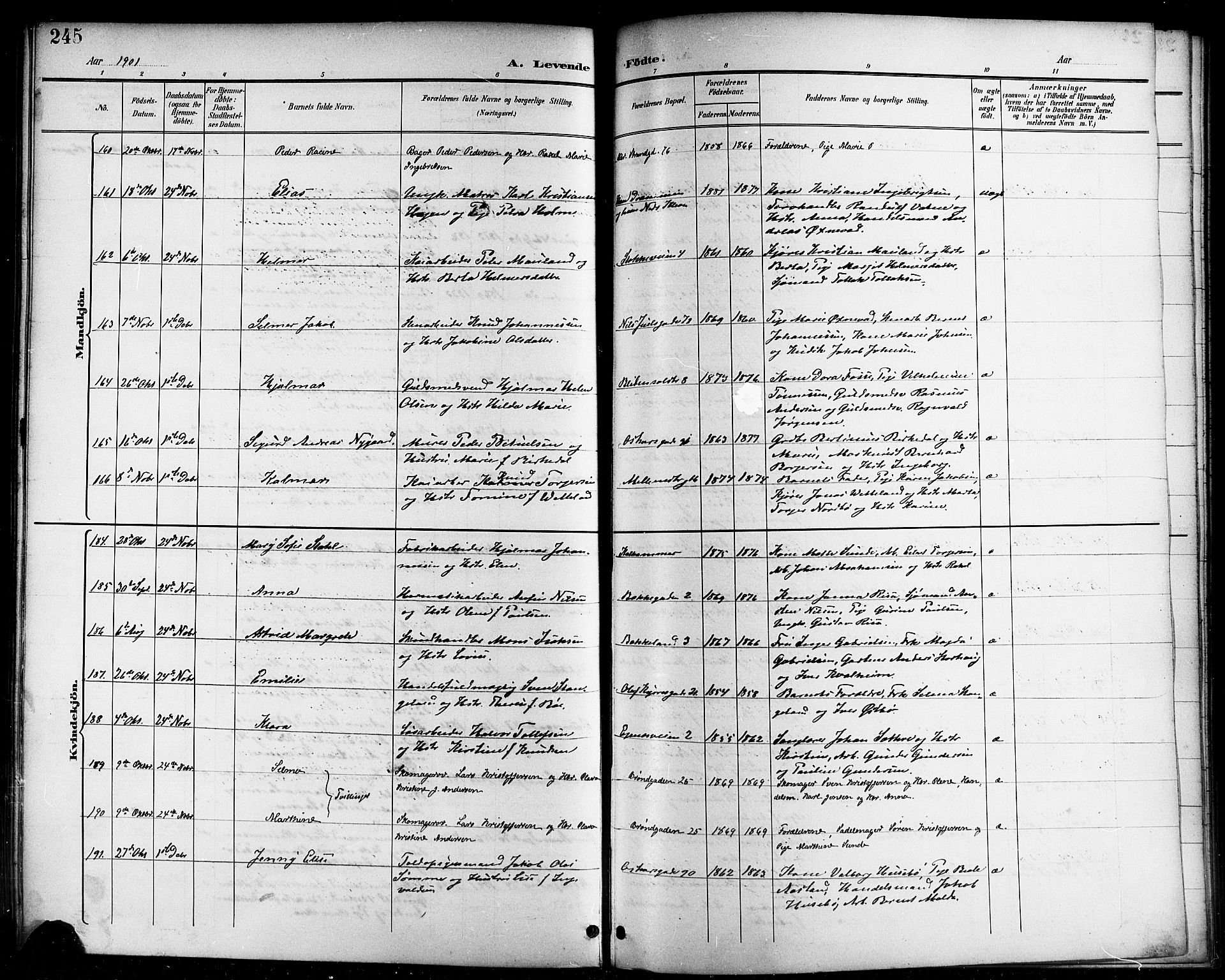 Domkirken sokneprestkontor, AV/SAST-A-101812/001/30/30BB/L0016: Klokkerbok nr. B 16, 1891-1902, s. 245