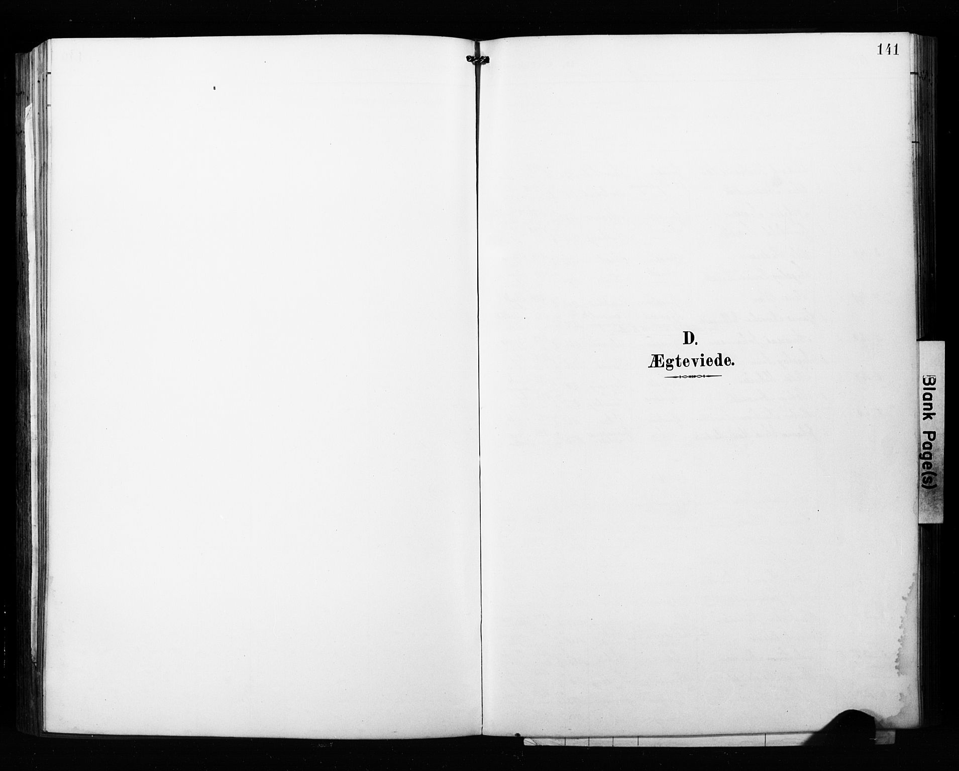 Målselv sokneprestembete, SATØ/S-1311/G/Ga/Gab/L0008klokker: Klokkerbok nr. 8, 1895-1913, s. 141