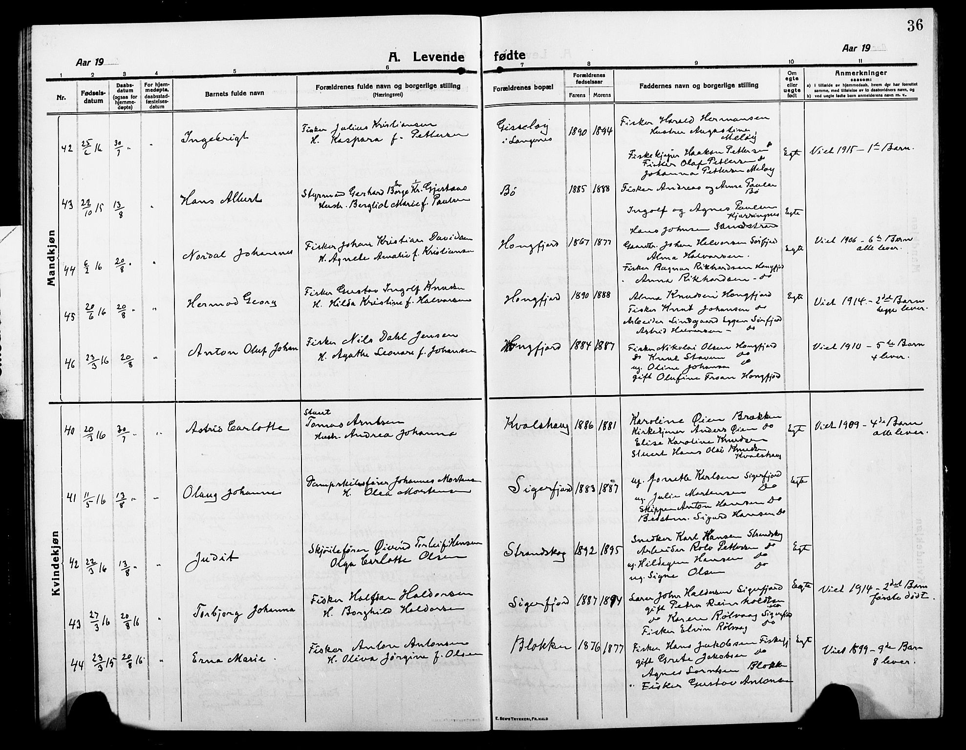 Ministerialprotokoller, klokkerbøker og fødselsregistre - Nordland, SAT/A-1459/895/L1383: Klokkerbok nr. 895C05, 1913-1922, s. 36