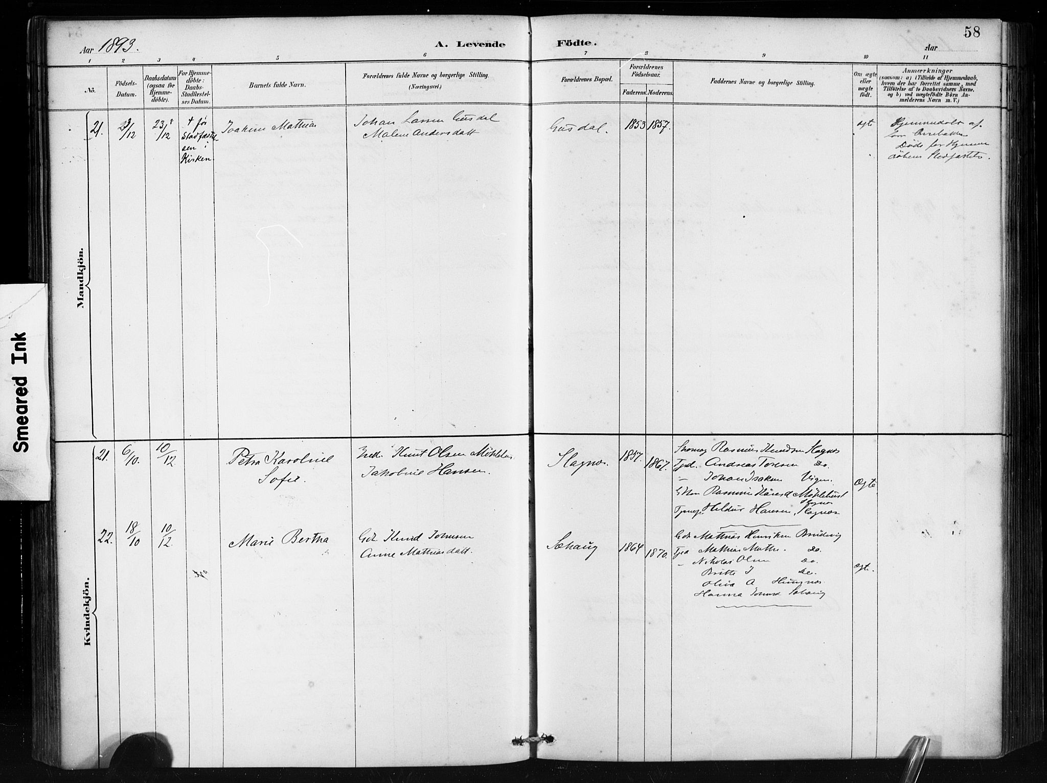 Ministerialprotokoller, klokkerbøker og fødselsregistre - Møre og Romsdal, AV/SAT-A-1454/501/L0008: Ministerialbok nr. 501A08, 1885-1901, s. 58