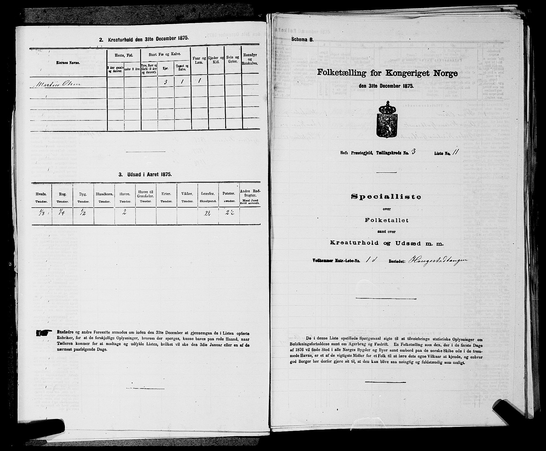 SAKO, Folketelling 1875 for 0714P Hof prestegjeld, 1875, s. 269