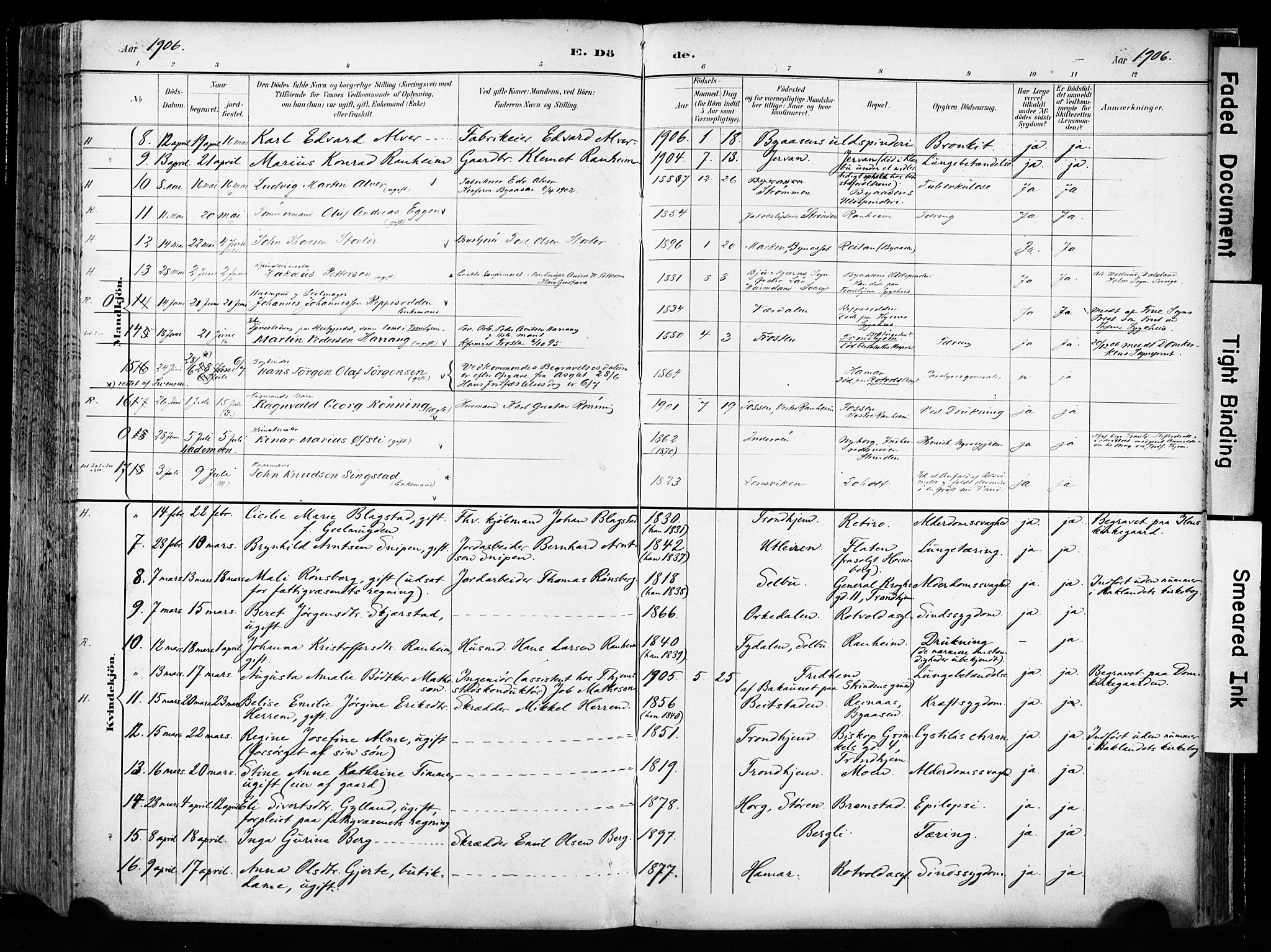 Ministerialprotokoller, klokkerbøker og fødselsregistre - Sør-Trøndelag, SAT/A-1456/606/L0301: Ministerialbok nr. 606A16, 1894-1907