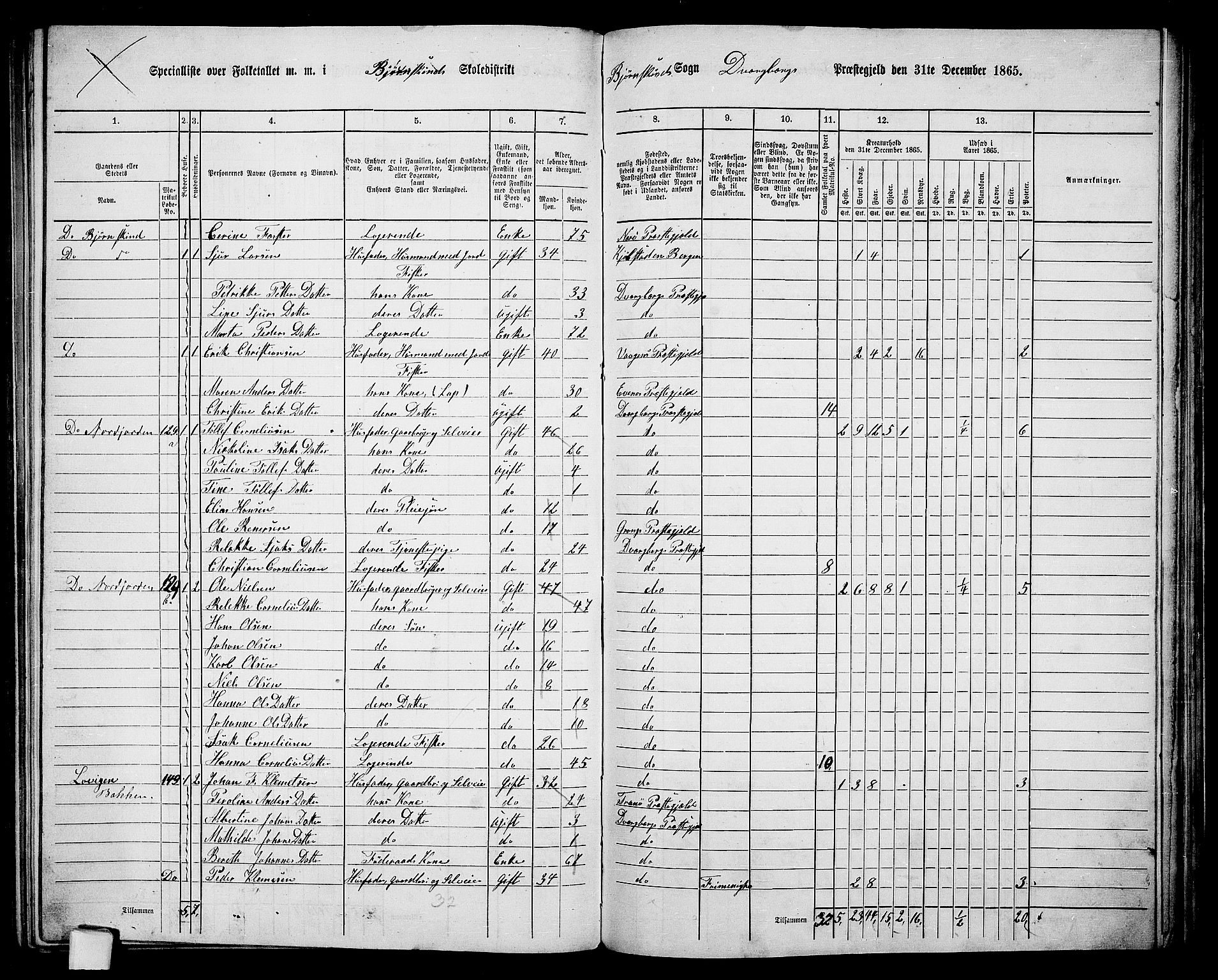 RA, Folketelling 1865 for 1872P Dverberg prestegjeld, 1865, s. 32