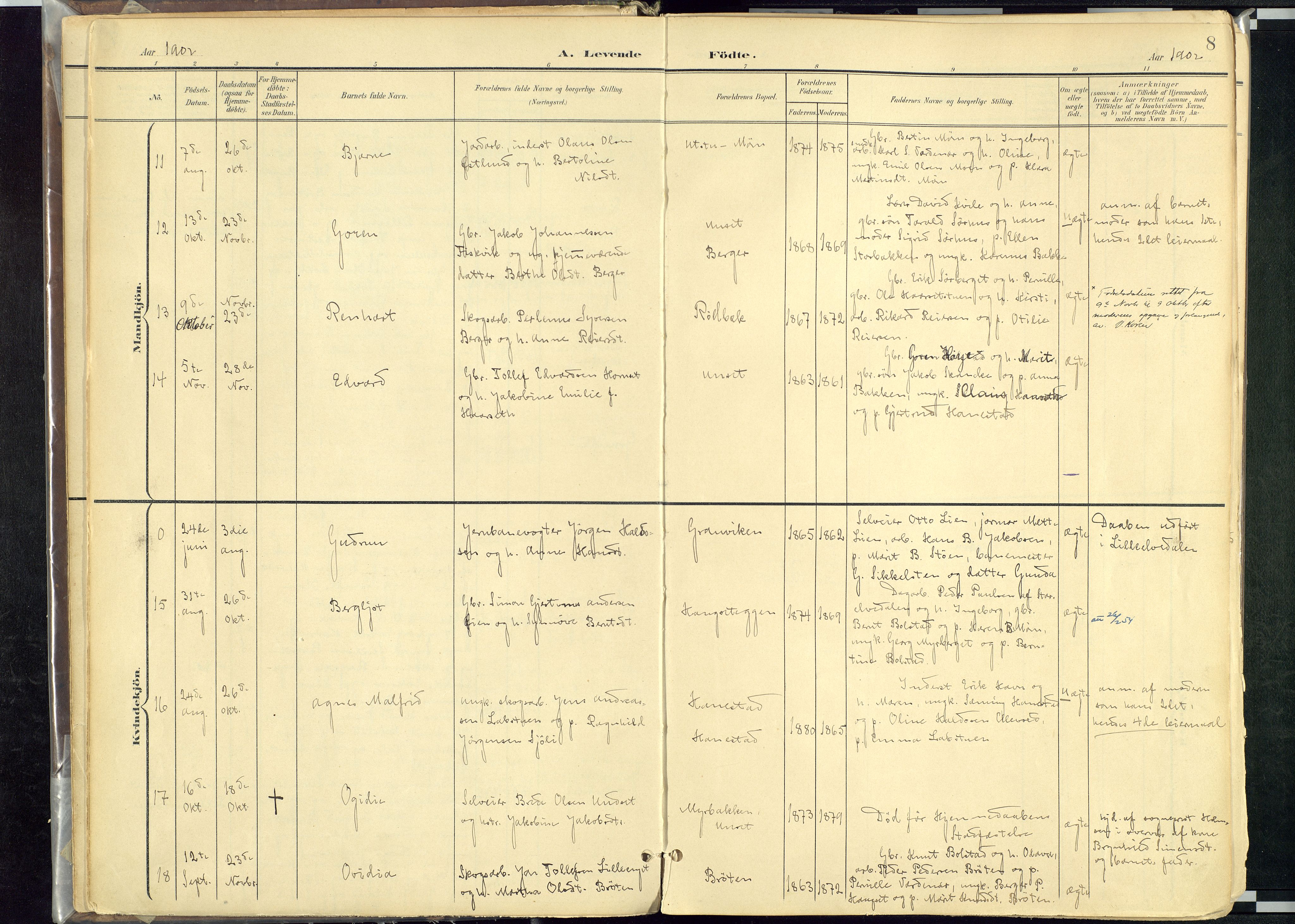 Rendalen prestekontor, AV/SAH-PREST-054/H/Ha/Haa/L0012: Ministerialbok nr. 12, 1901-1928, s. 8