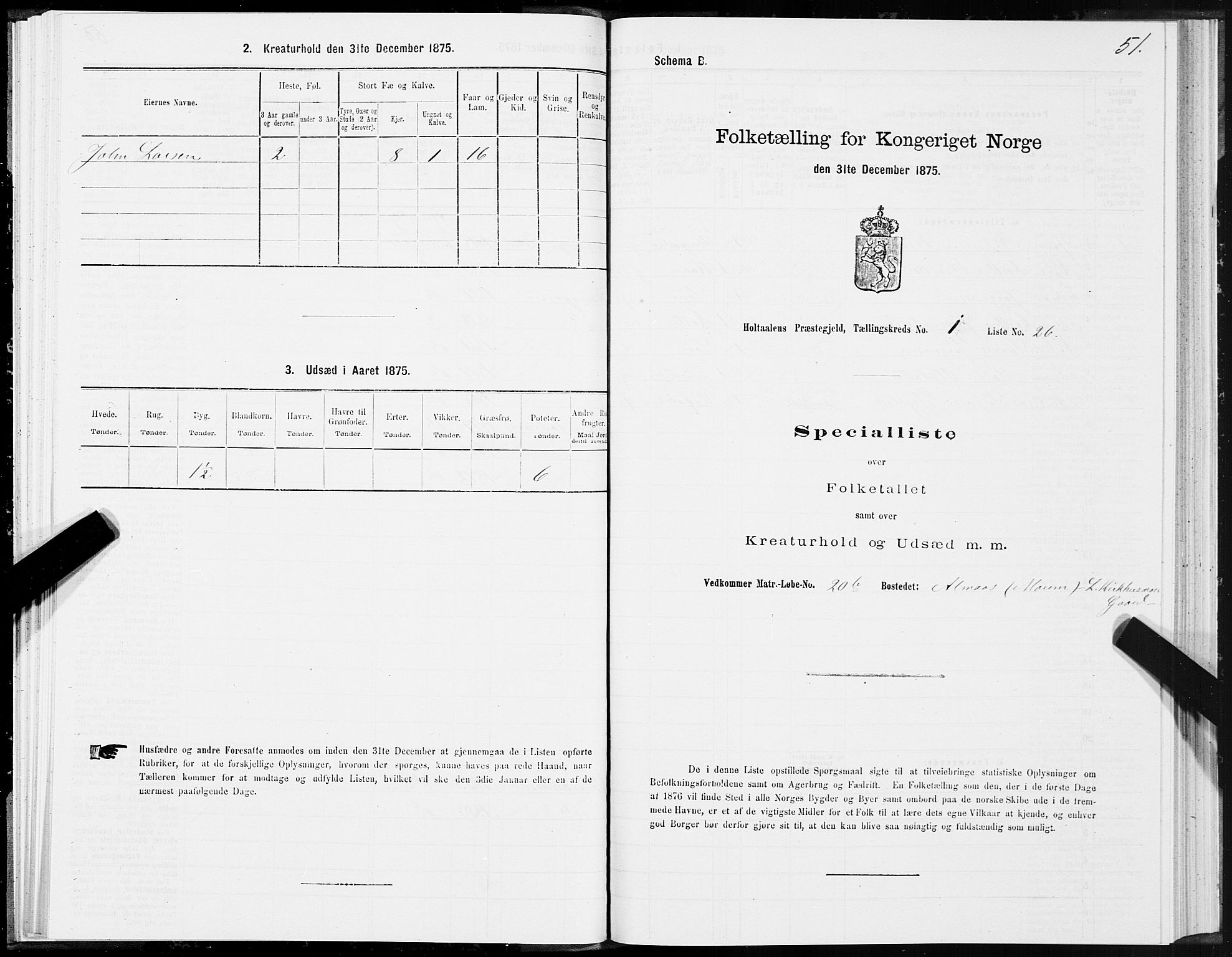 SAT, Folketelling 1875 for 1645P Haltdalen prestegjeld, 1875, s. 4051