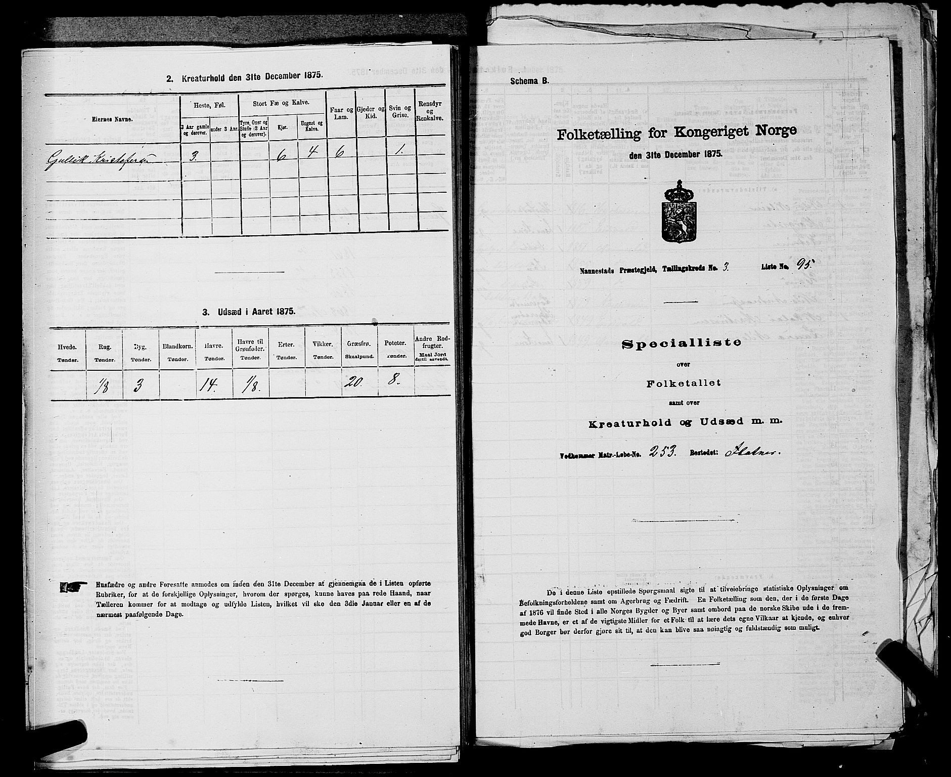 RA, Folketelling 1875 for 0238P Nannestad prestegjeld, 1875, s. 555