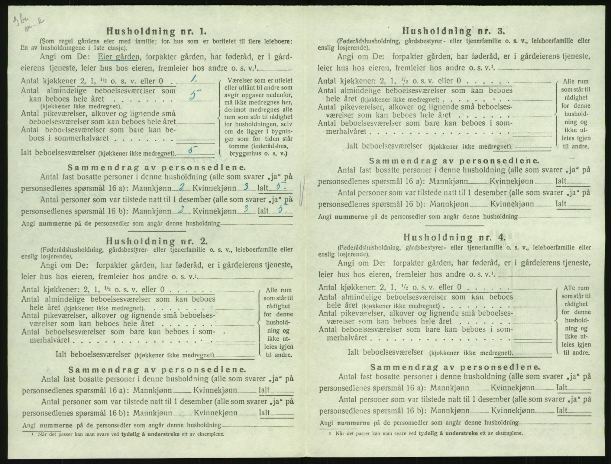 SAK, Folketelling 1920 for 0936 Hornnes herred, 1920, s. 478