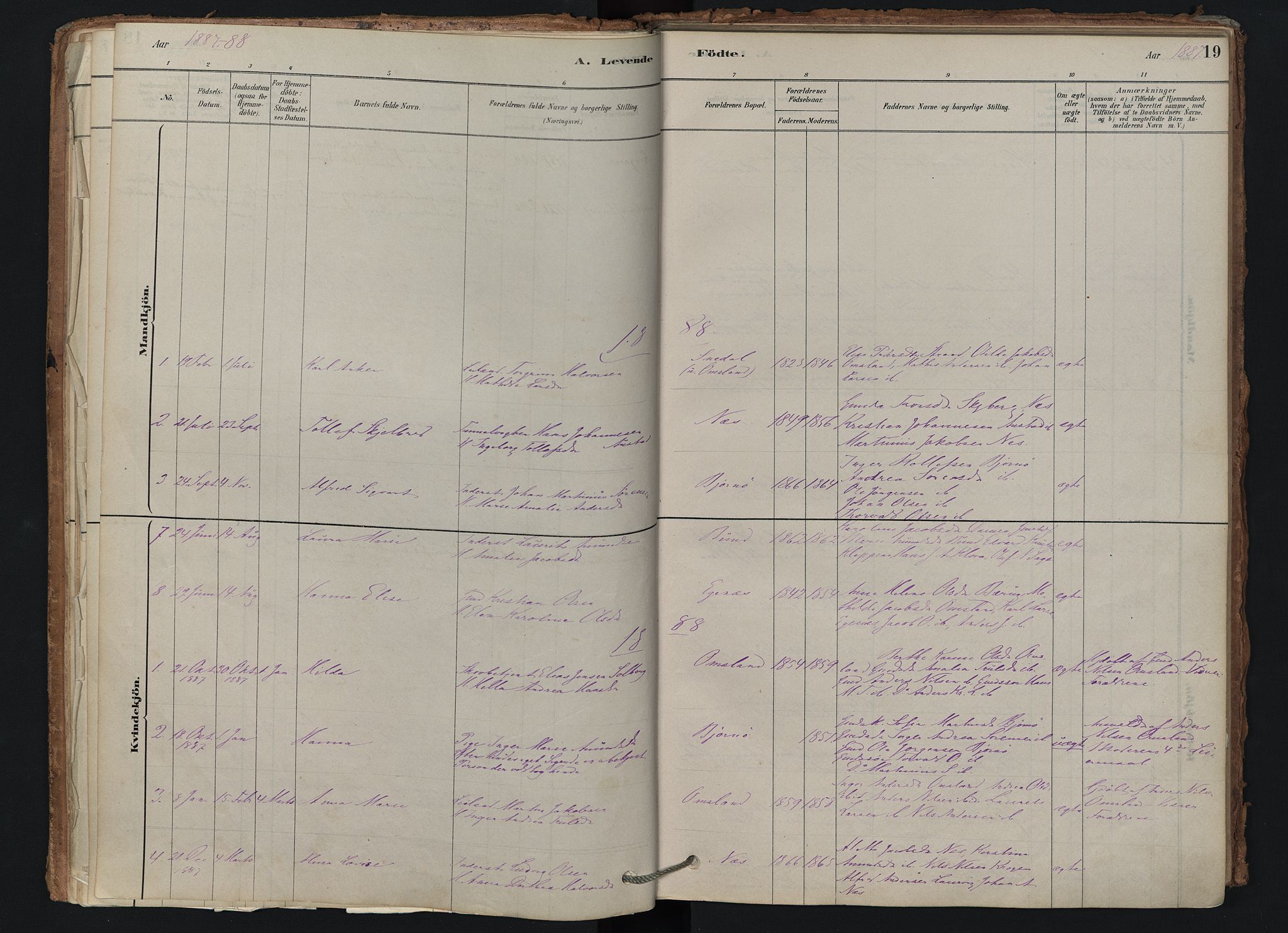 Brunlanes kirkebøker, SAKO/A-342/F/Fd/L0001: Ministerialbok nr. IV 1, 1878-1917, s. 19
