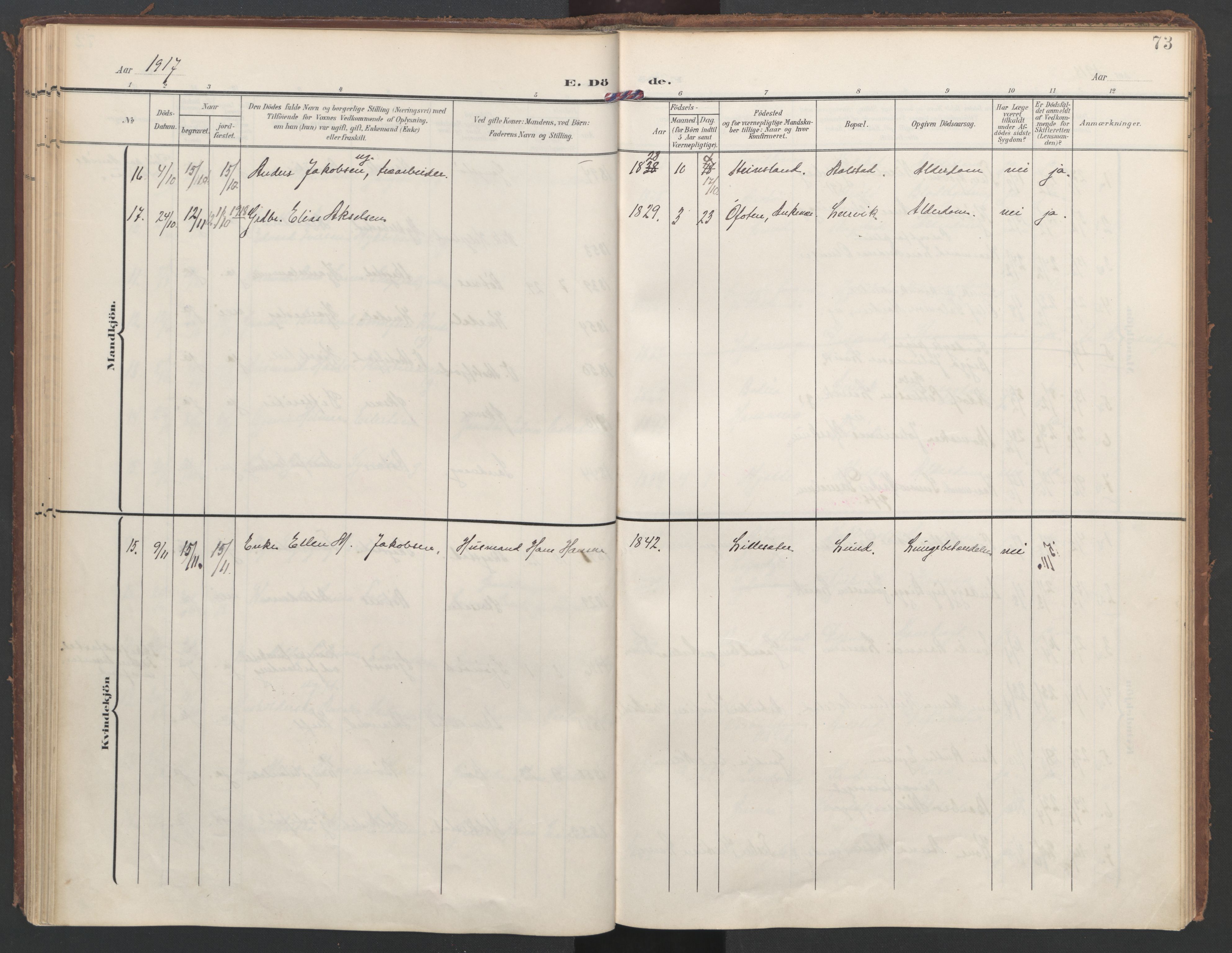 Ministerialprotokoller, klokkerbøker og fødselsregistre - Nordland, SAT/A-1459/855/L0806: Ministerialbok nr. 855A14, 1906-1922, s. 73