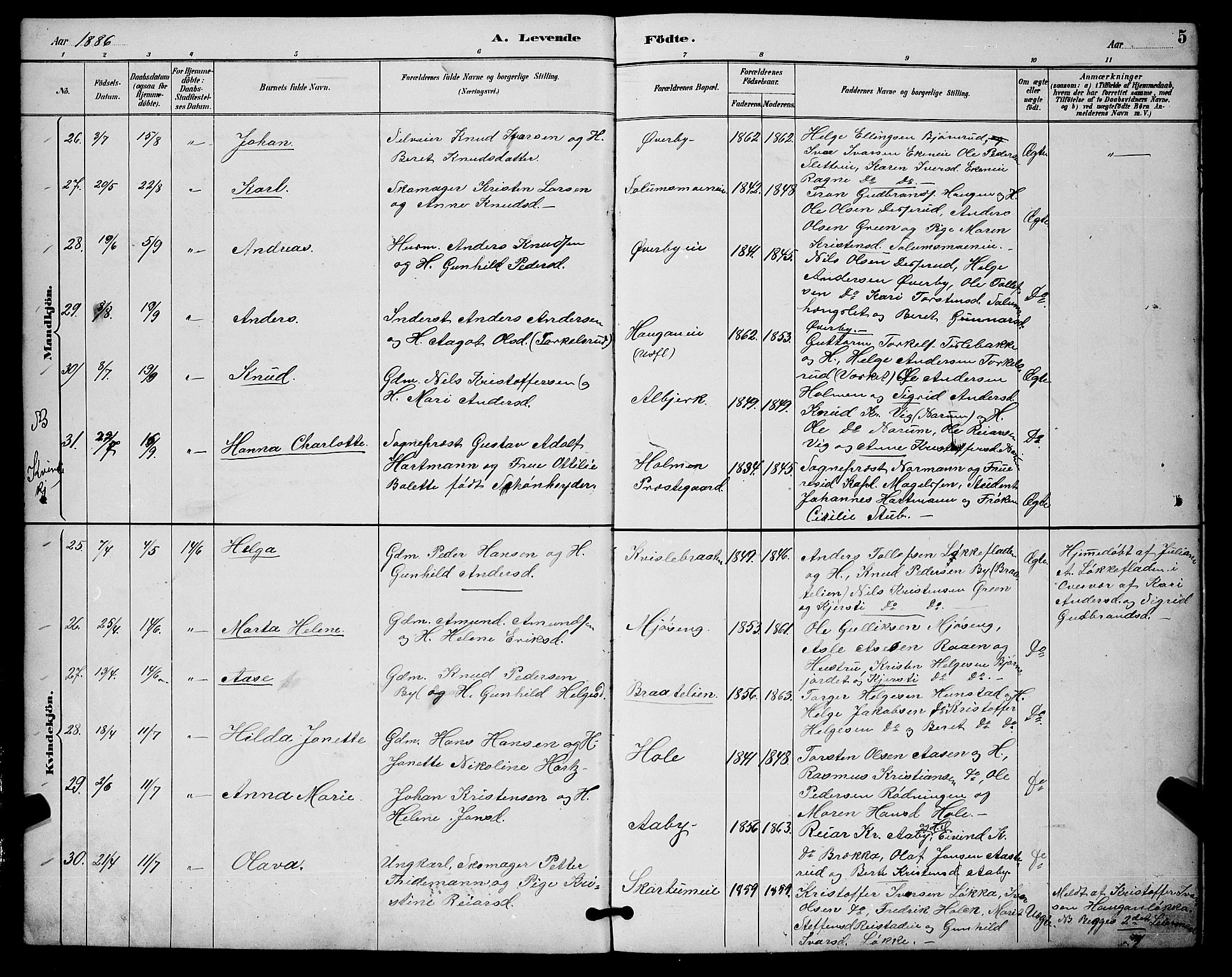 Sigdal kirkebøker, AV/SAKO-A-245/G/Ga/L0005: Klokkerbok nr. I 5, 1886-1900, s. 5