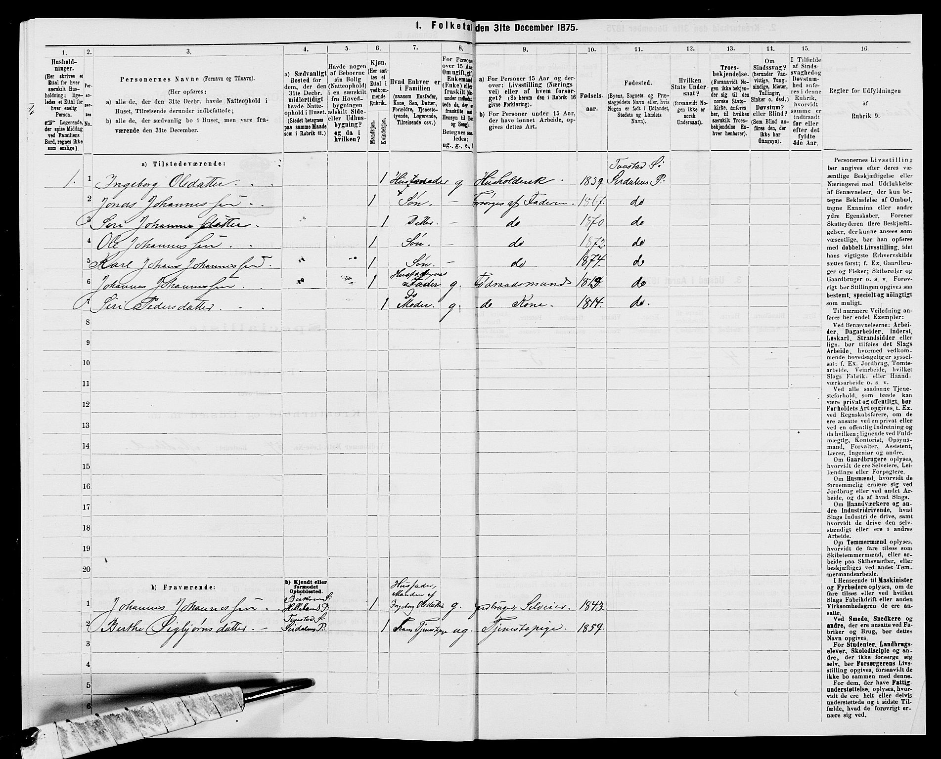 SAK, Folketelling 1875 for 1046P Sirdal prestegjeld, 1875, s. 285