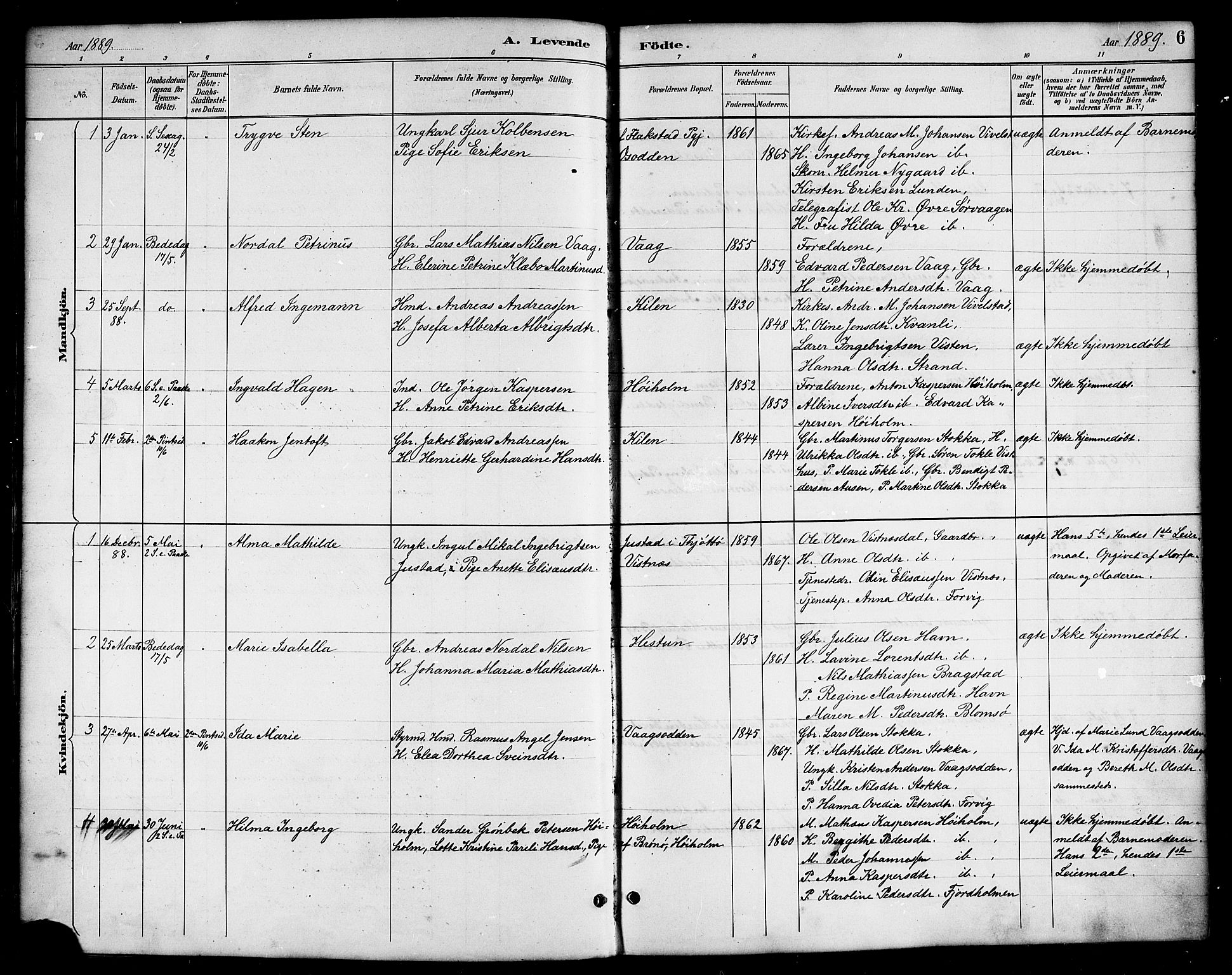 Ministerialprotokoller, klokkerbøker og fødselsregistre - Nordland, SAT/A-1459/819/L0277: Klokkerbok nr. 819C03, 1888-1917, s. 6