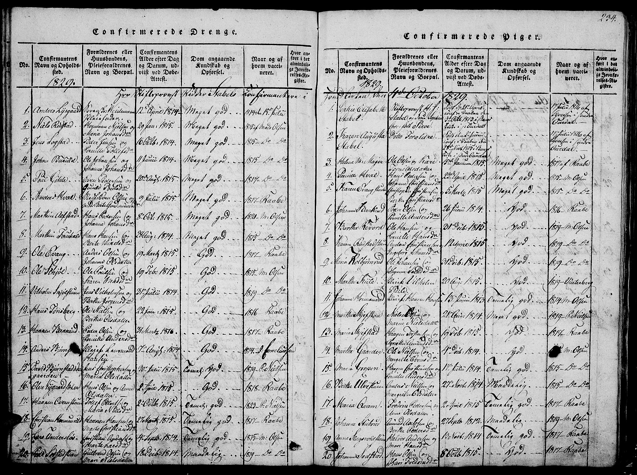 Østre Toten prestekontor, AV/SAH-PREST-104/H/Ha/Hab/L0001: Klokkerbok nr. 1, 1827-1839, s. 234