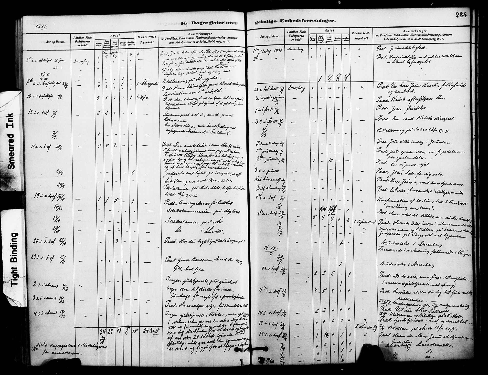 Ministerialprotokoller, klokkerbøker og fødselsregistre - Nordland, AV/SAT-A-1459/897/L1399: Ministerialbok nr. 897C06, 1881-1896, s. 234
