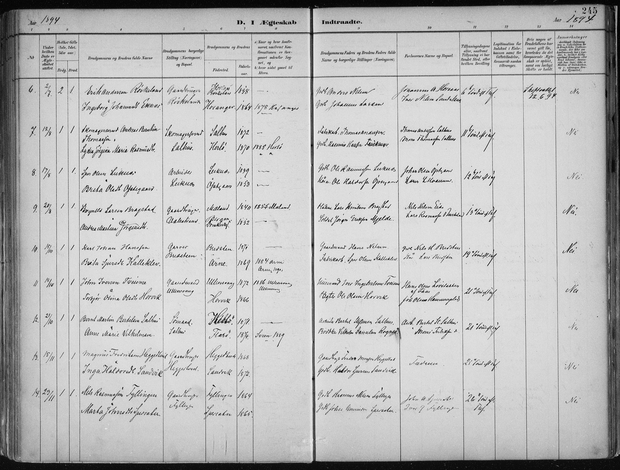 Hamre sokneprestembete, SAB/A-75501/H/Ha/Haa/Haab/L0001: Ministerialbok nr. B  1, 1882-1905, s. 245