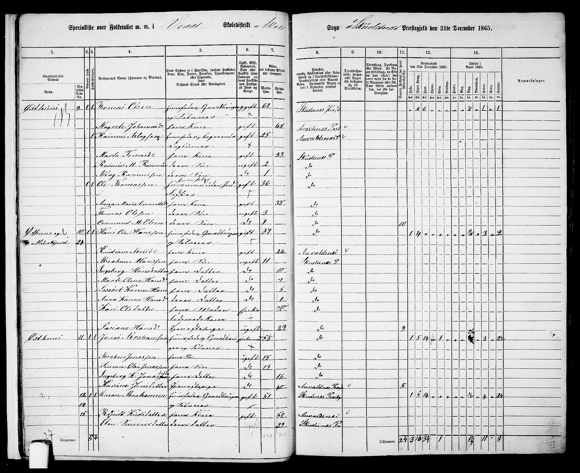 RA, Folketelling 1865 for 1150P Skudenes prestegjeld, 1865, s. 17