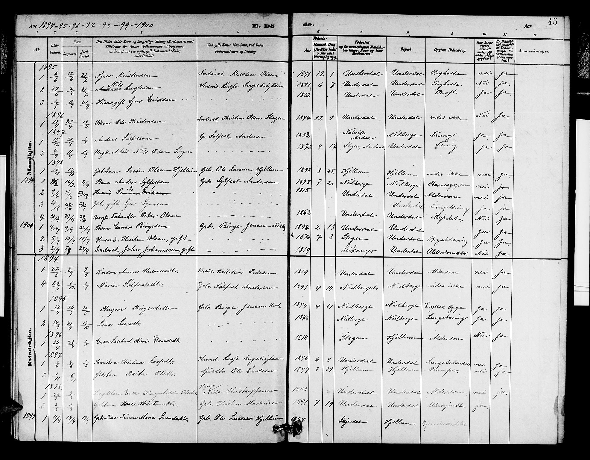Aurland sokneprestembete, AV/SAB-A-99937/H/Hb/Hbd/L0002: Klokkerbok nr. D 2, 1883-1920, s. 45