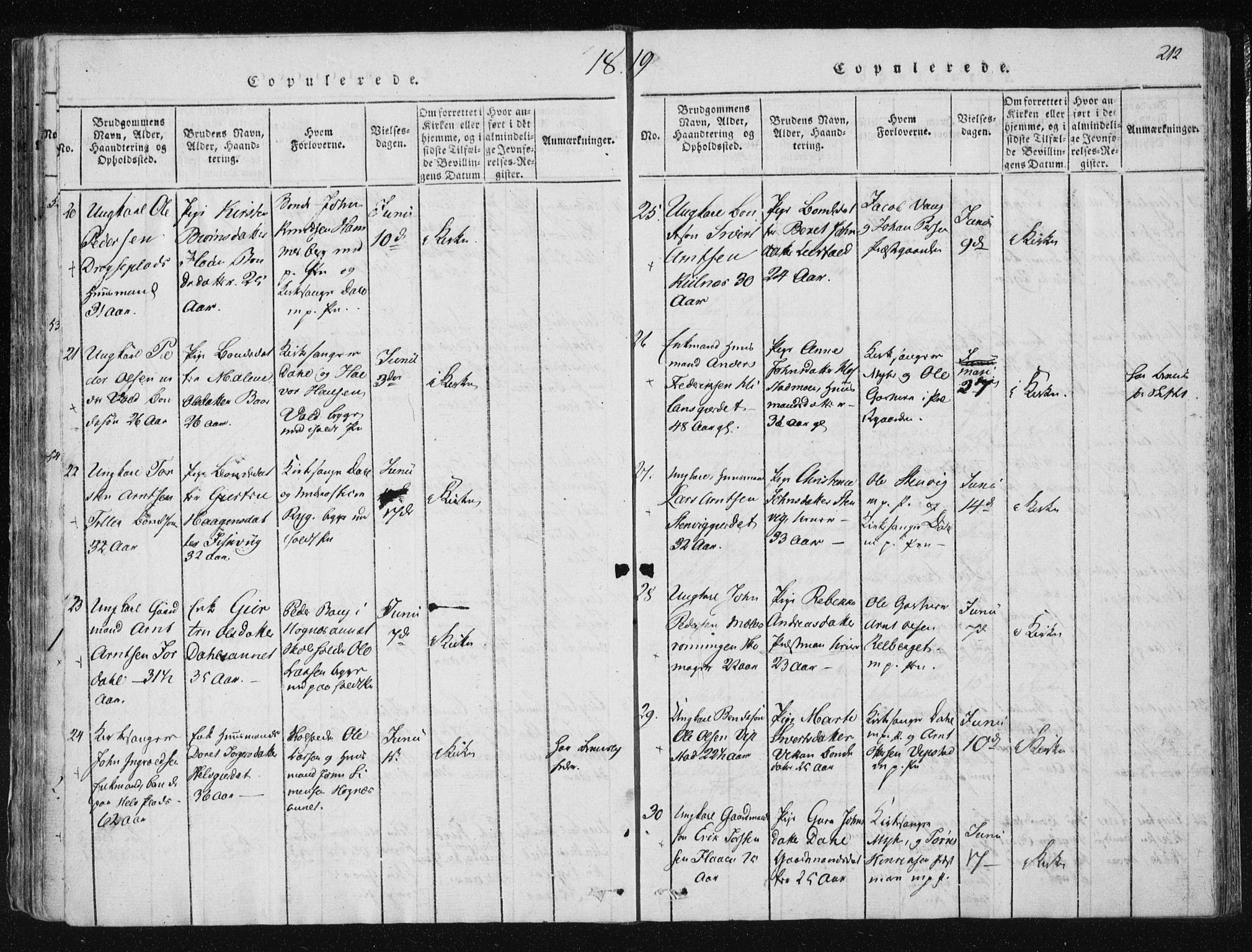 Ministerialprotokoller, klokkerbøker og fødselsregistre - Nord-Trøndelag, SAT/A-1458/709/L0061: Ministerialbok nr. 709A08 /1, 1815-1819, s. 212