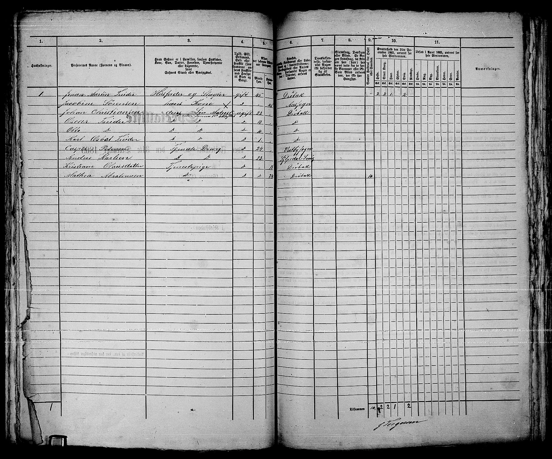 RA, Folketelling 1865 for 0203B Drøbak prestegjeld, Drøbak kjøpstad, 1865, s. 251