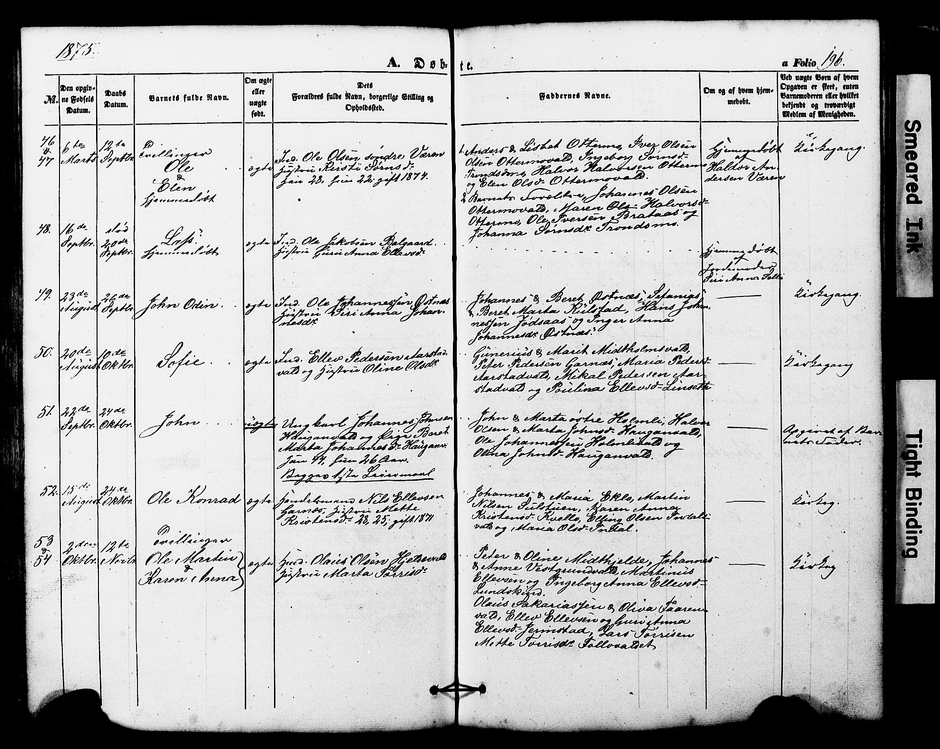 Ministerialprotokoller, klokkerbøker og fødselsregistre - Nord-Trøndelag, AV/SAT-A-1458/724/L0268: Klokkerbok nr. 724C04, 1846-1878, s. 196