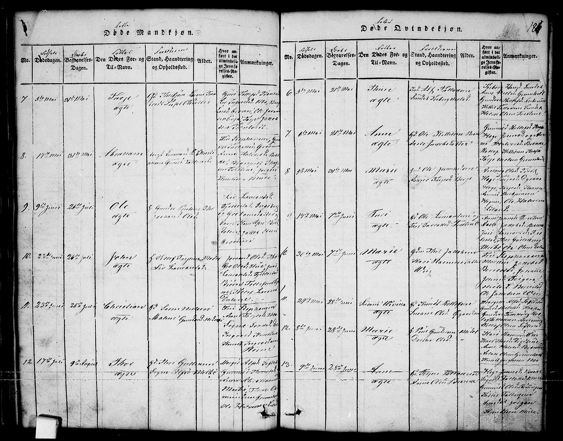 Nissedal kirkebøker, SAKO/A-288/G/Ga/L0001: Klokkerbok nr. I 1, 1814-1860, s. 186