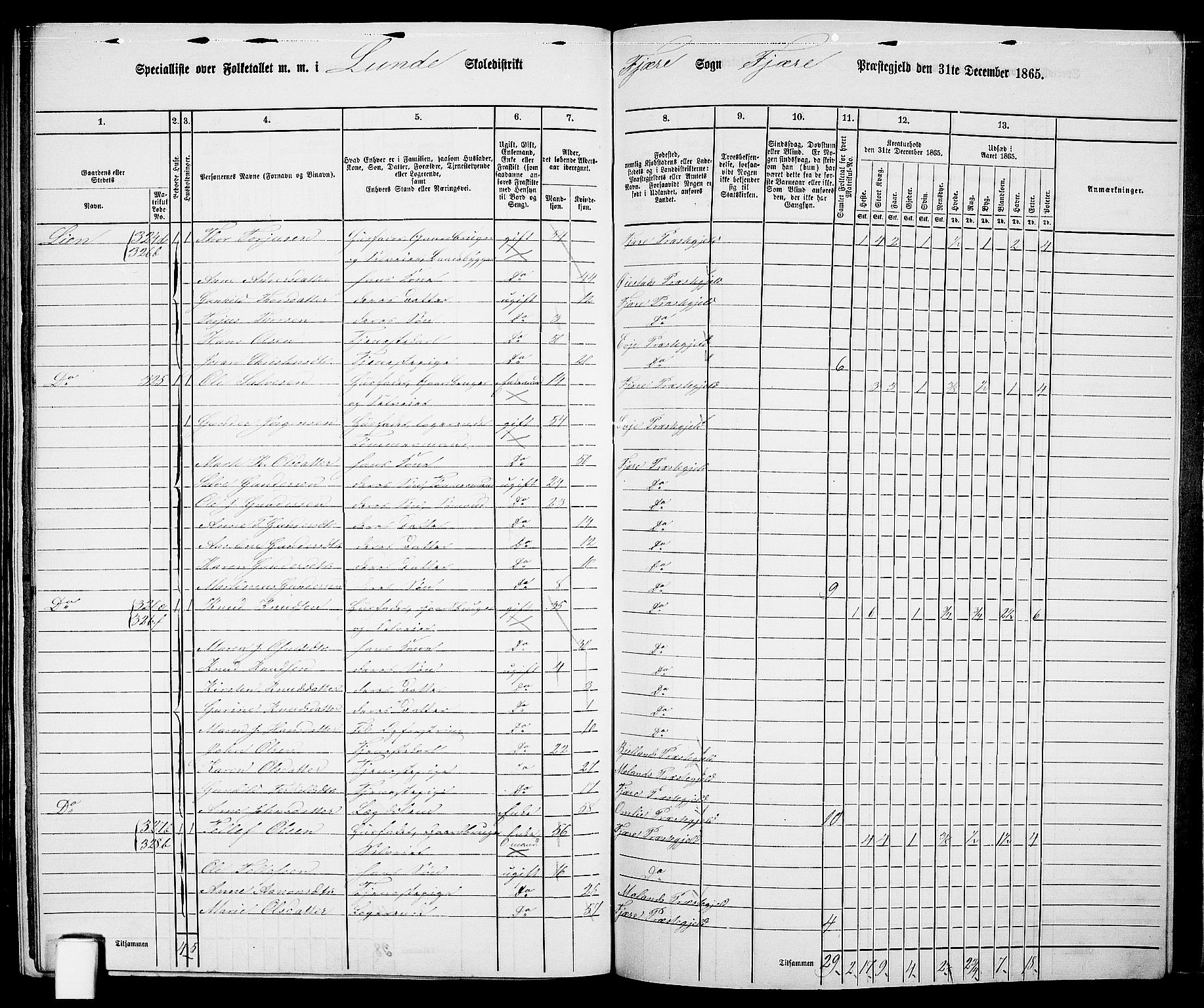 RA, Folketelling 1865 for 0923L Fjære prestegjeld, Fjære sokn, 1865, s. 162