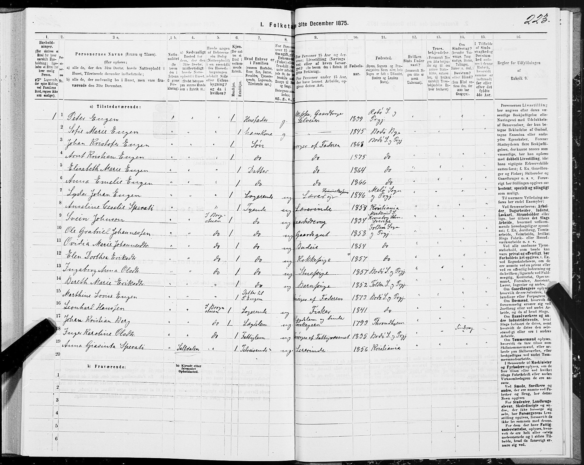 SAT, Folketelling 1875 for 1843L Bodø prestegjeld, Bodø landsokn, 1875, s. 1223