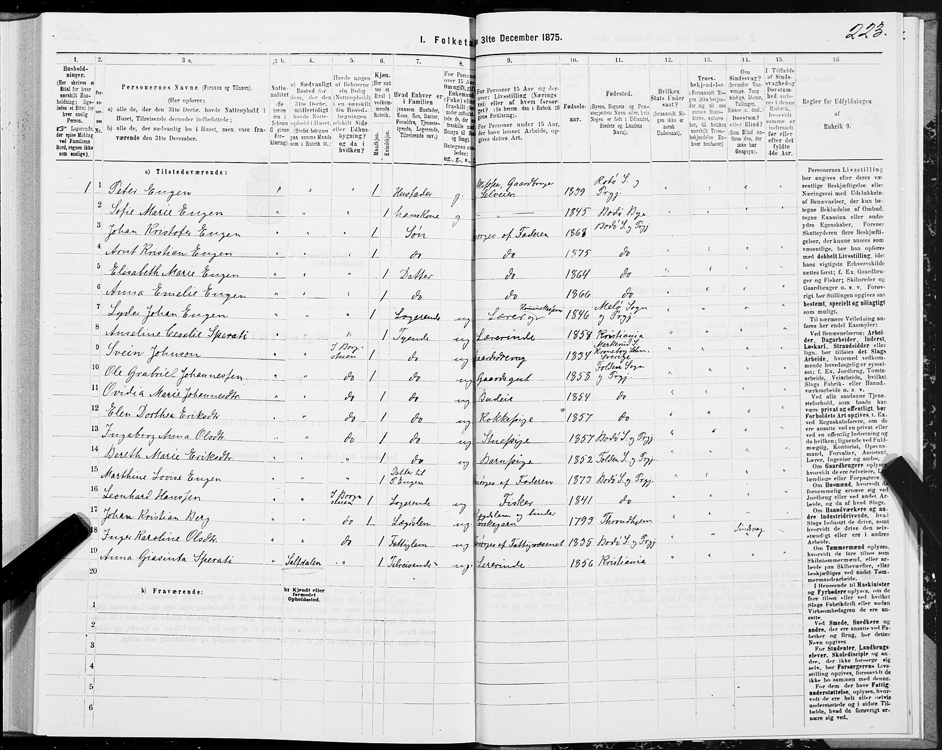 SAT, Folketelling 1875 for 1843L Bodø prestegjeld, Bodø landsokn, 1875, s. 1223