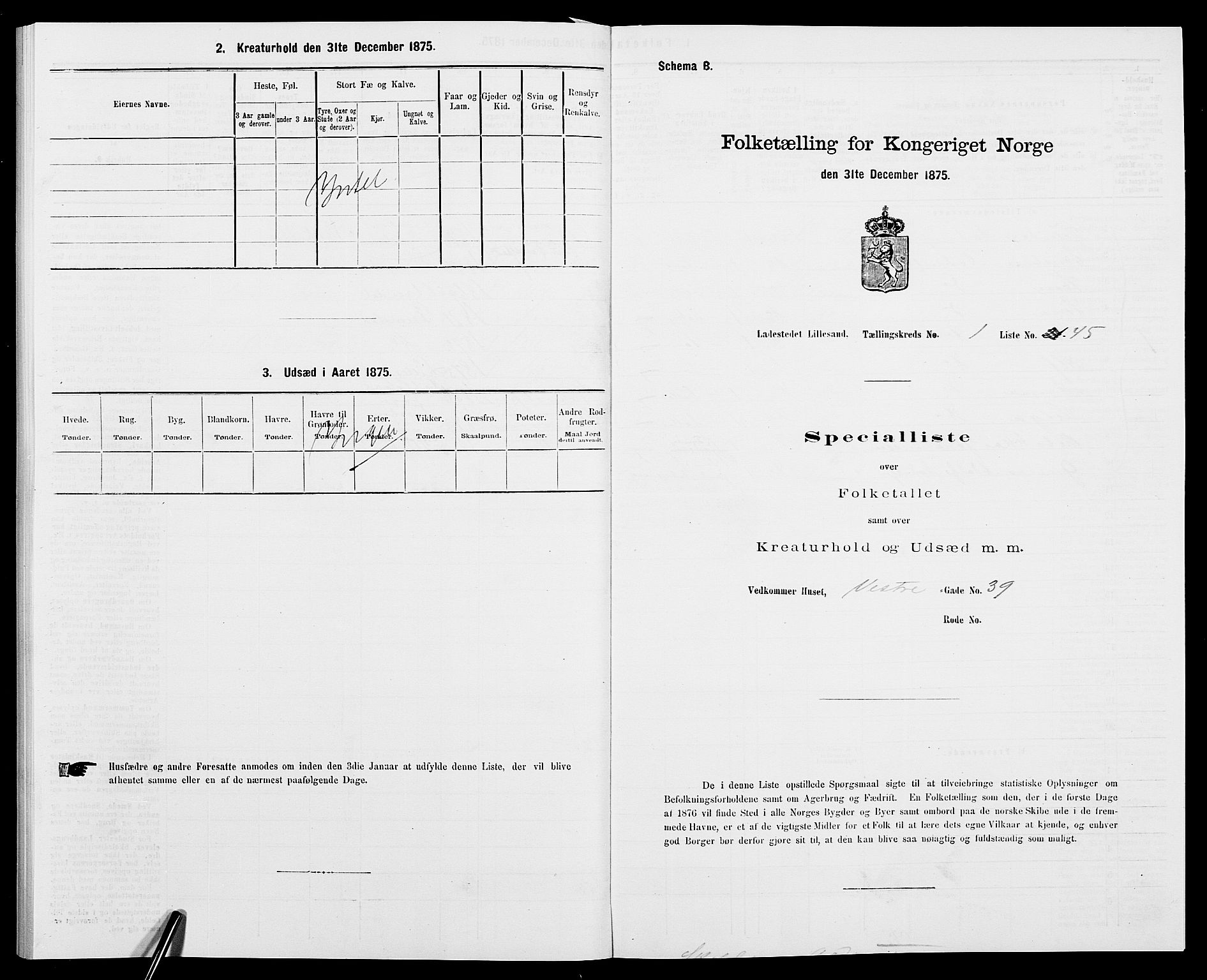 SAK, Folketelling 1875 for 0905B Vestre Moland prestegjeld, Lillesand ladested, 1875, s. 98