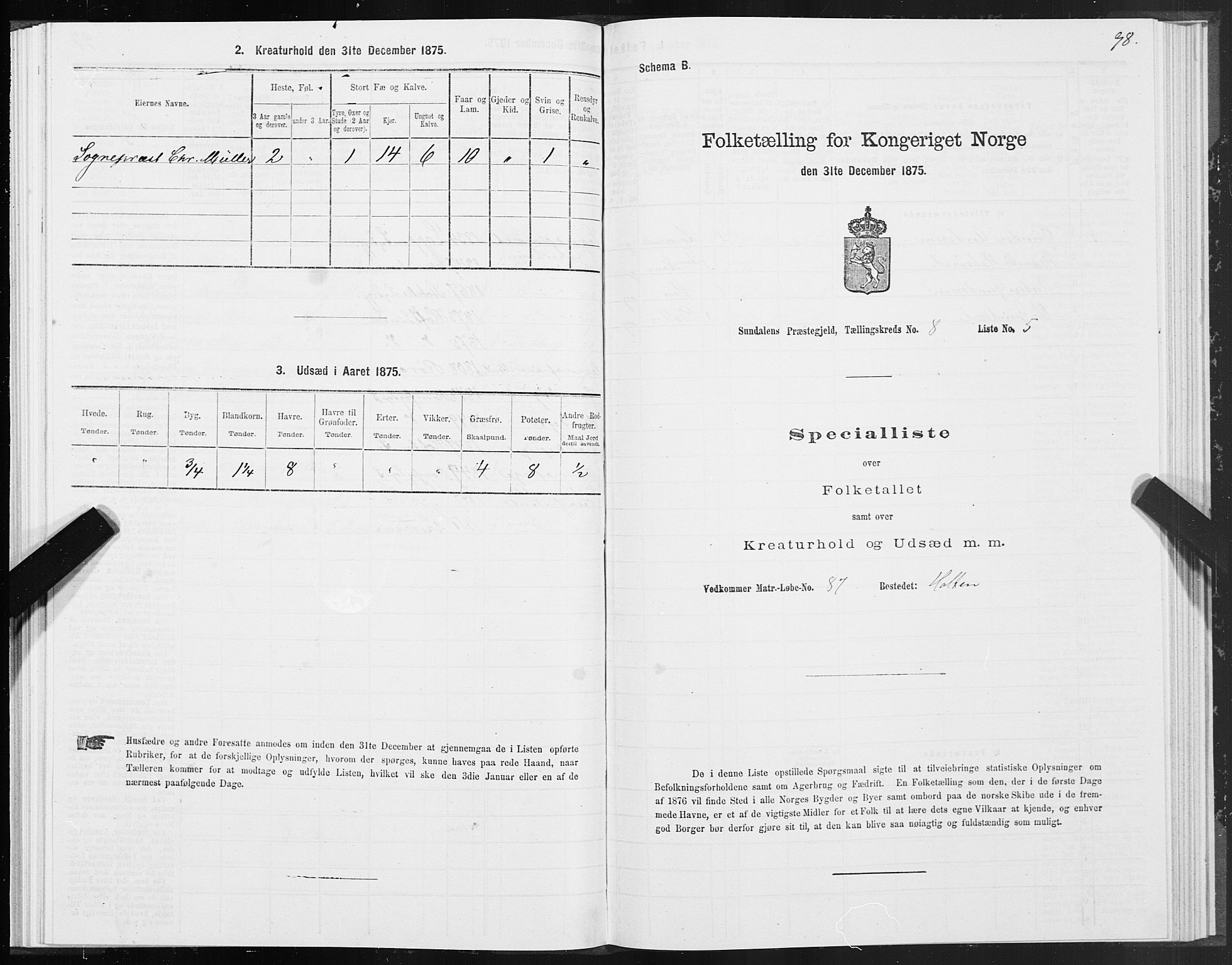 SAT, Folketelling 1875 for 1563P Sunndal prestegjeld, 1875, s. 3098