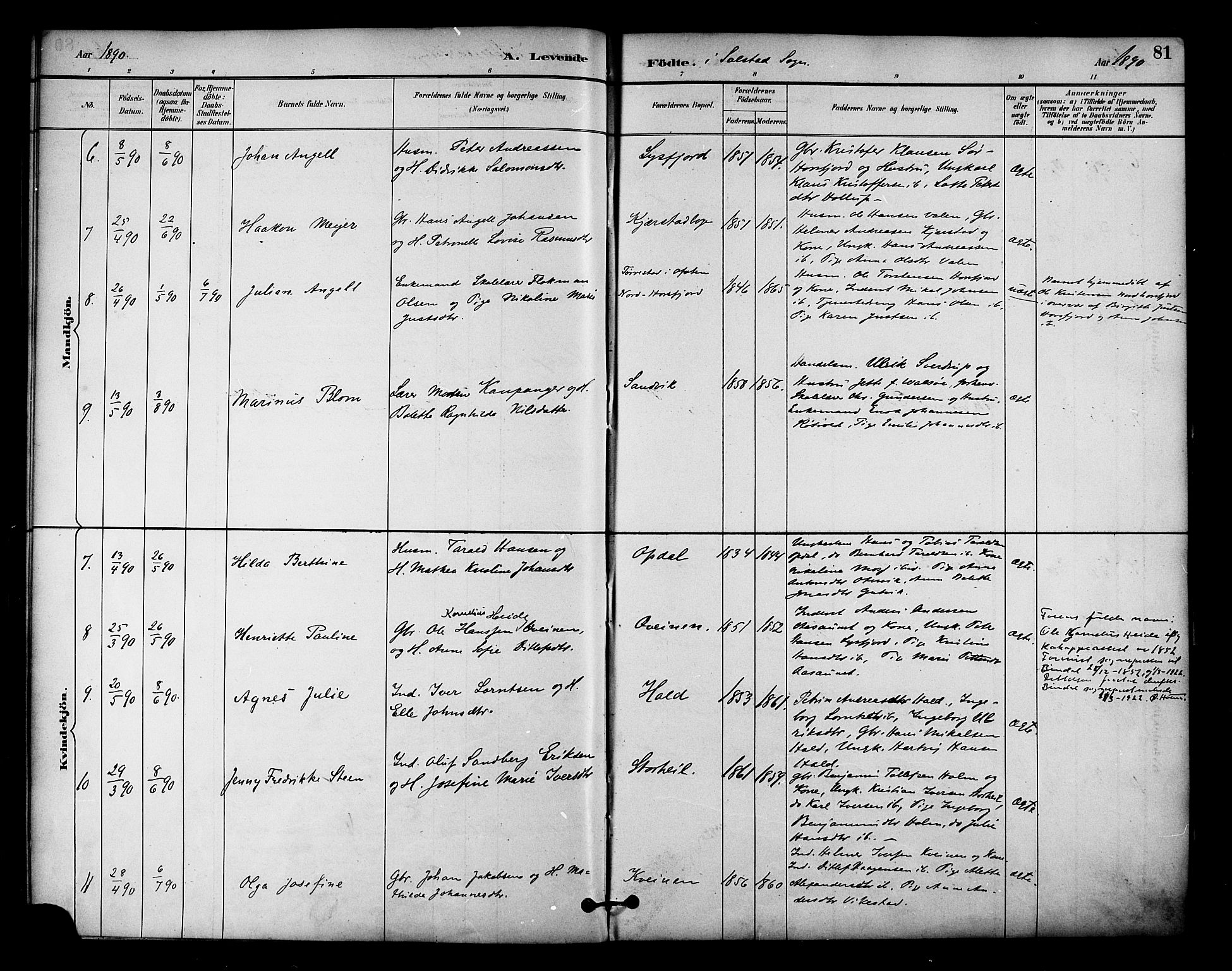 Ministerialprotokoller, klokkerbøker og fødselsregistre - Nordland, SAT/A-1459/810/L0151: Ministerialbok nr. 810A10 /2, 1885-1895, s. 81