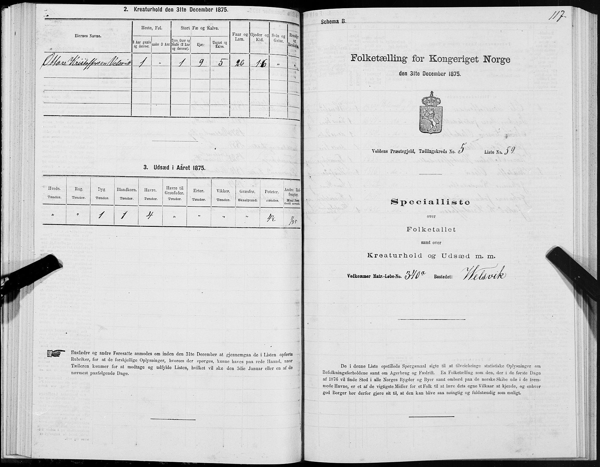 SAT, Folketelling 1875 for 1519P Volda prestegjeld, 1875, s. 4117