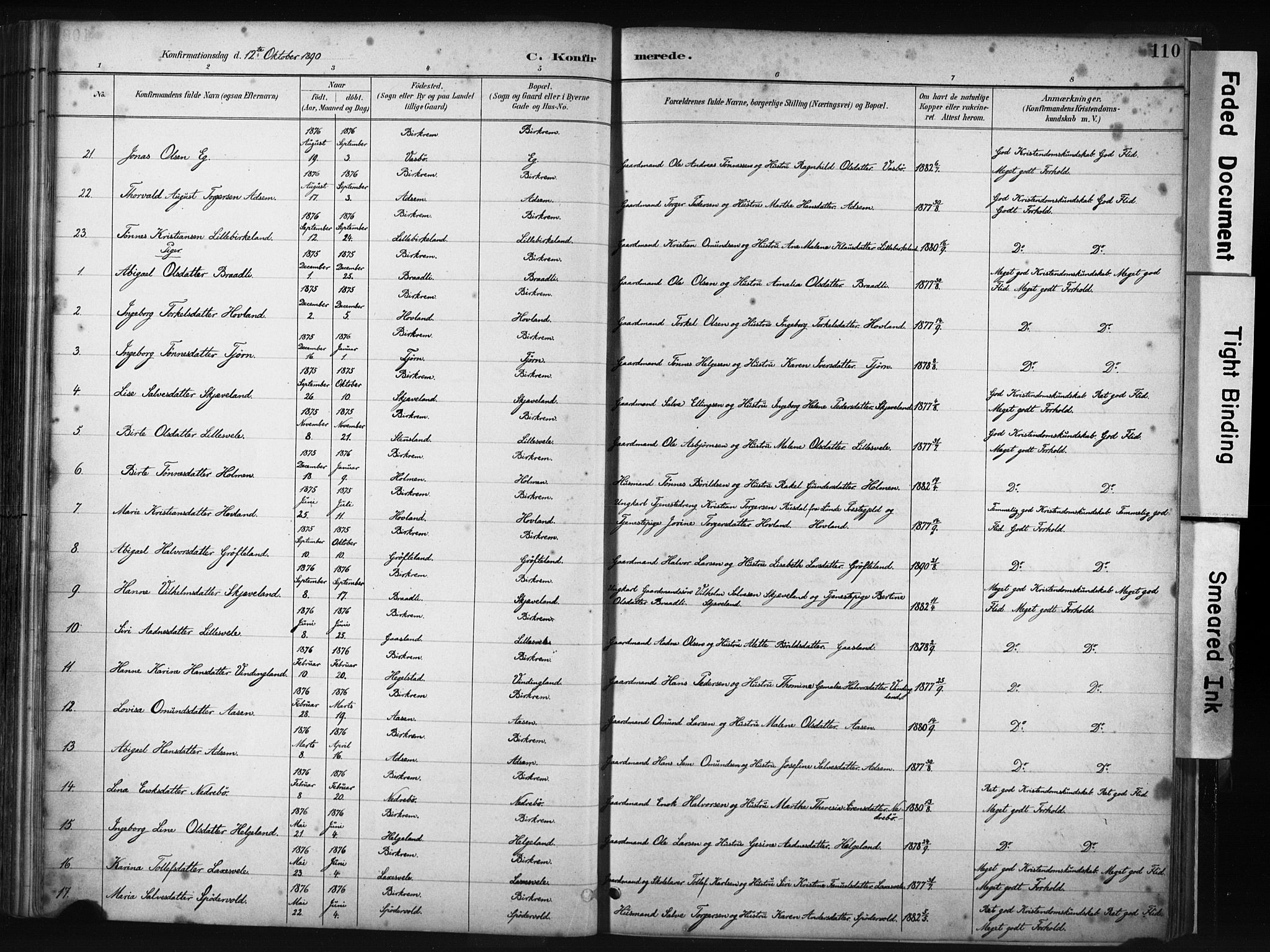 Helleland sokneprestkontor, AV/SAST-A-101810: Ministerialbok nr. A 9, 1887-1908, s. 110