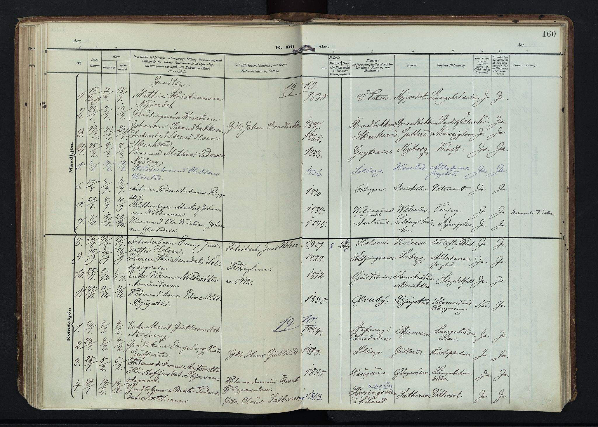 Vardal prestekontor, AV/SAH-PREST-100/H/Ha/Haa/L0020: Ministerialbok nr. 20, 1907-1921, s. 160