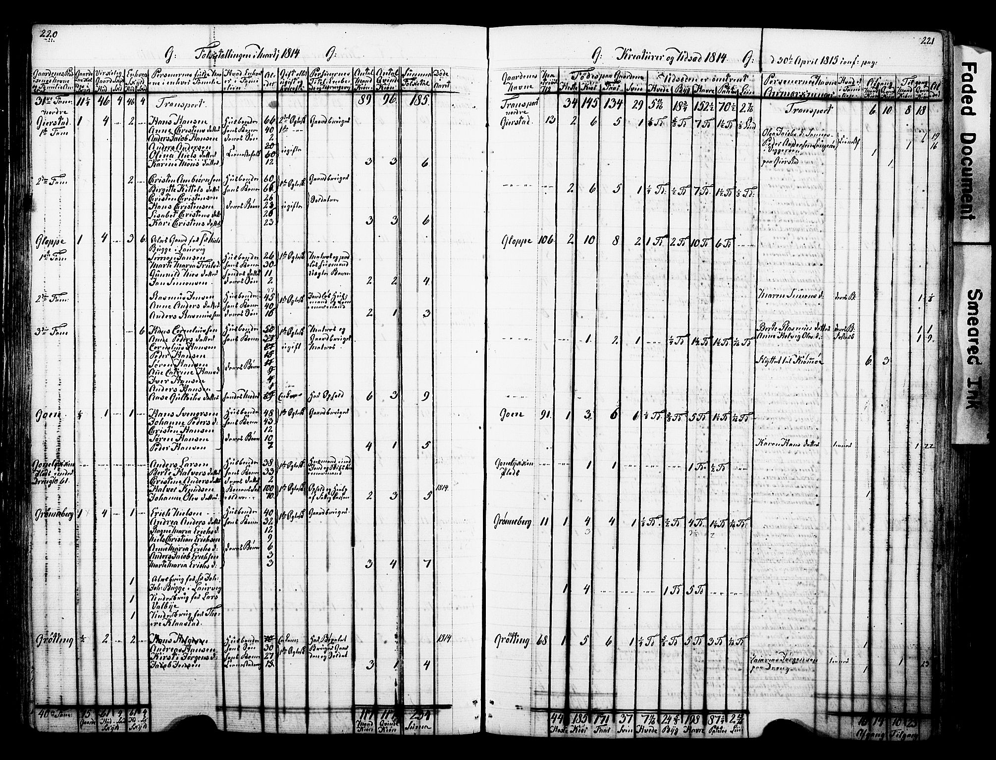 SAKO, Lokal folketelling 1814 for 0725P Tjølling prestegjeld, 1814, s. 220-221