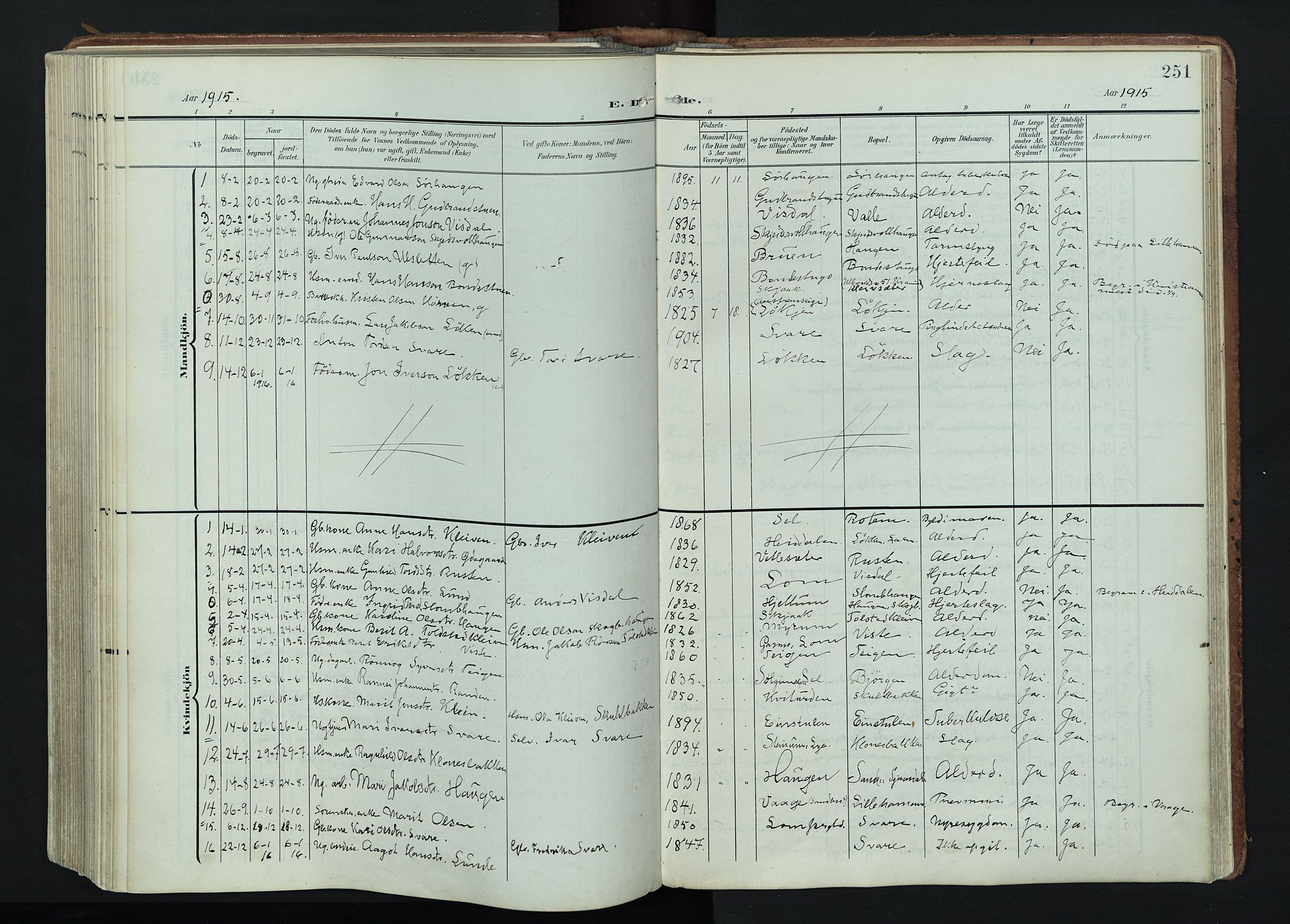 Vågå prestekontor, AV/SAH-PREST-076/H/Ha/Haa/L0011: Ministerialbok nr. 11, 1905-1924, s. 251