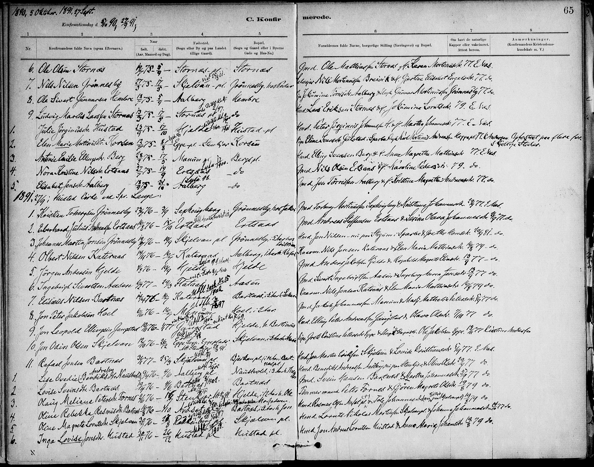 Ministerialprotokoller, klokkerbøker og fødselsregistre - Nord-Trøndelag, AV/SAT-A-1458/732/L0316: Ministerialbok nr. 732A01, 1879-1921, s. 65