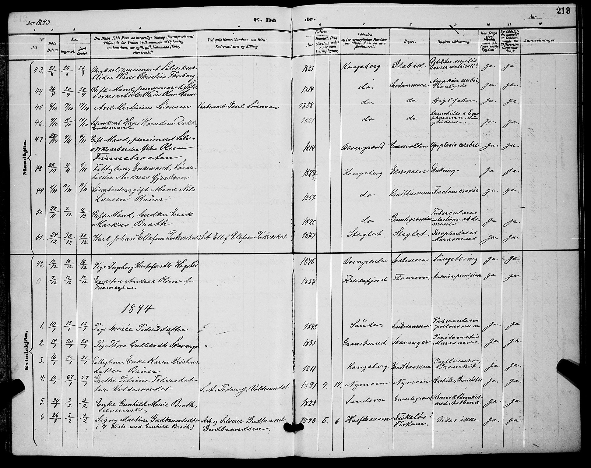 Kongsberg kirkebøker, AV/SAKO-A-22/G/Ga/L0006: Klokkerbok nr. 6, 1890-1901, s. 213