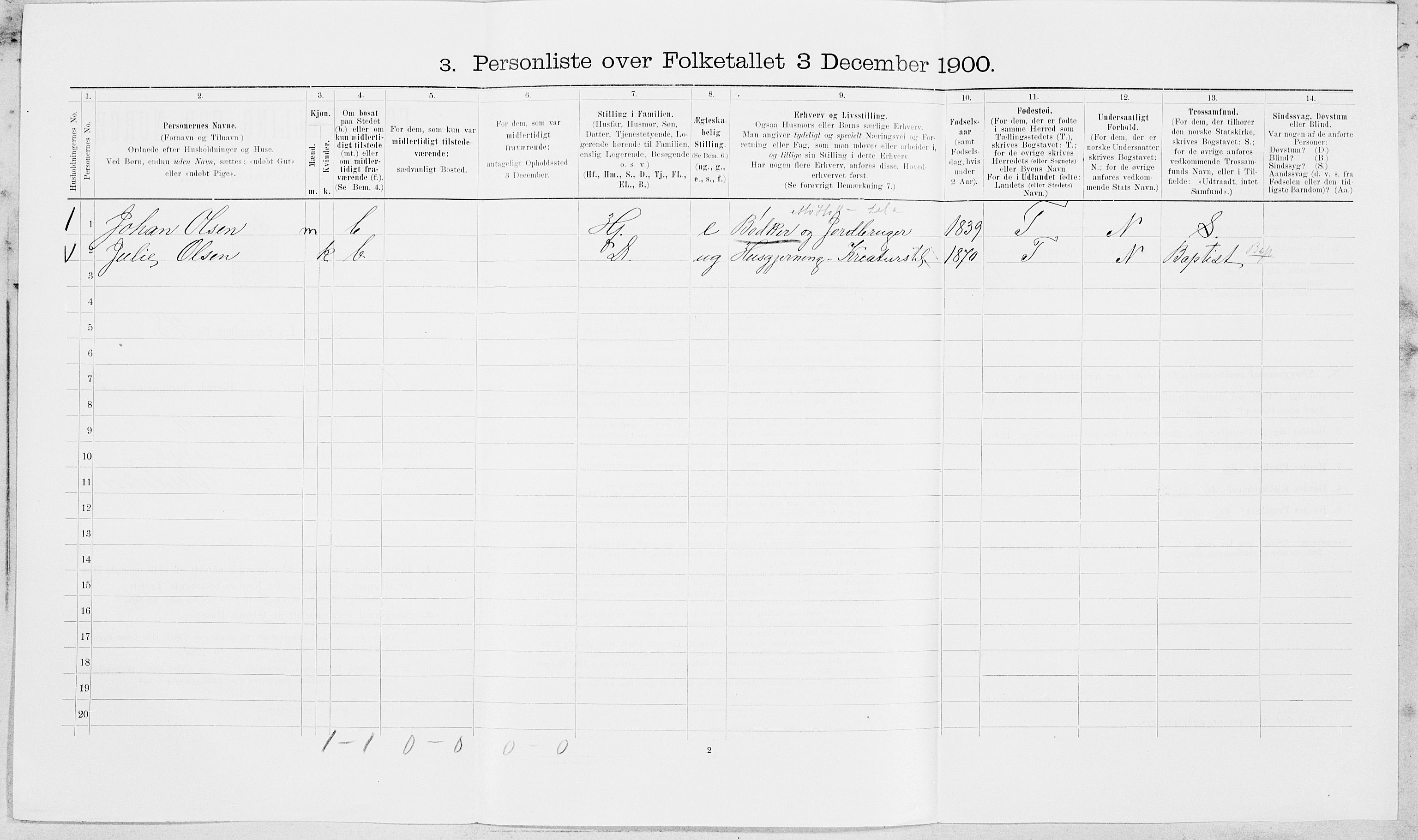 SAT, Folketelling 1900 for 1721 Verdal herred, 1900, s. 500