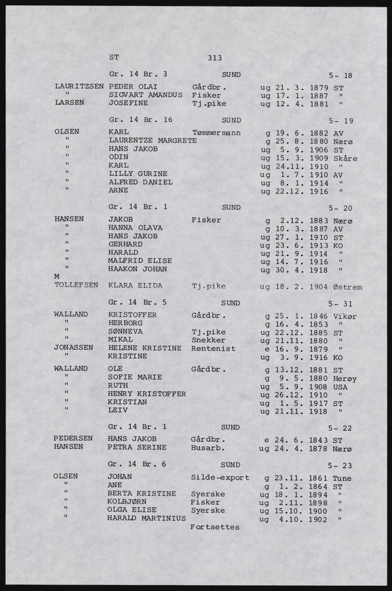 SAST, Avskrift av folketellingen 1920 for Karmøy, 1920, s. 333