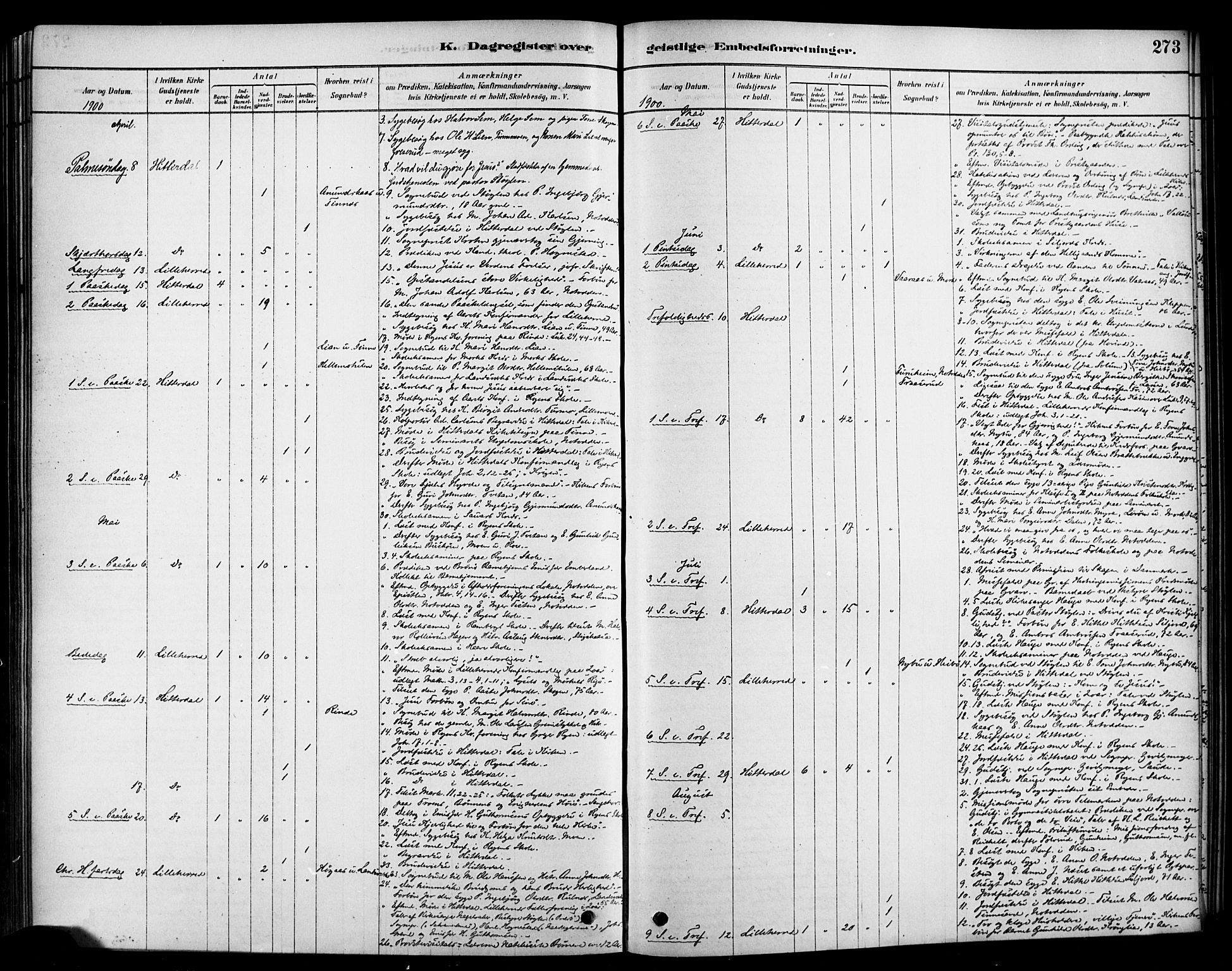 Heddal kirkebøker, SAKO/A-268/F/Fa/L0009: Ministerialbok nr. I 9, 1878-1903, s. 273