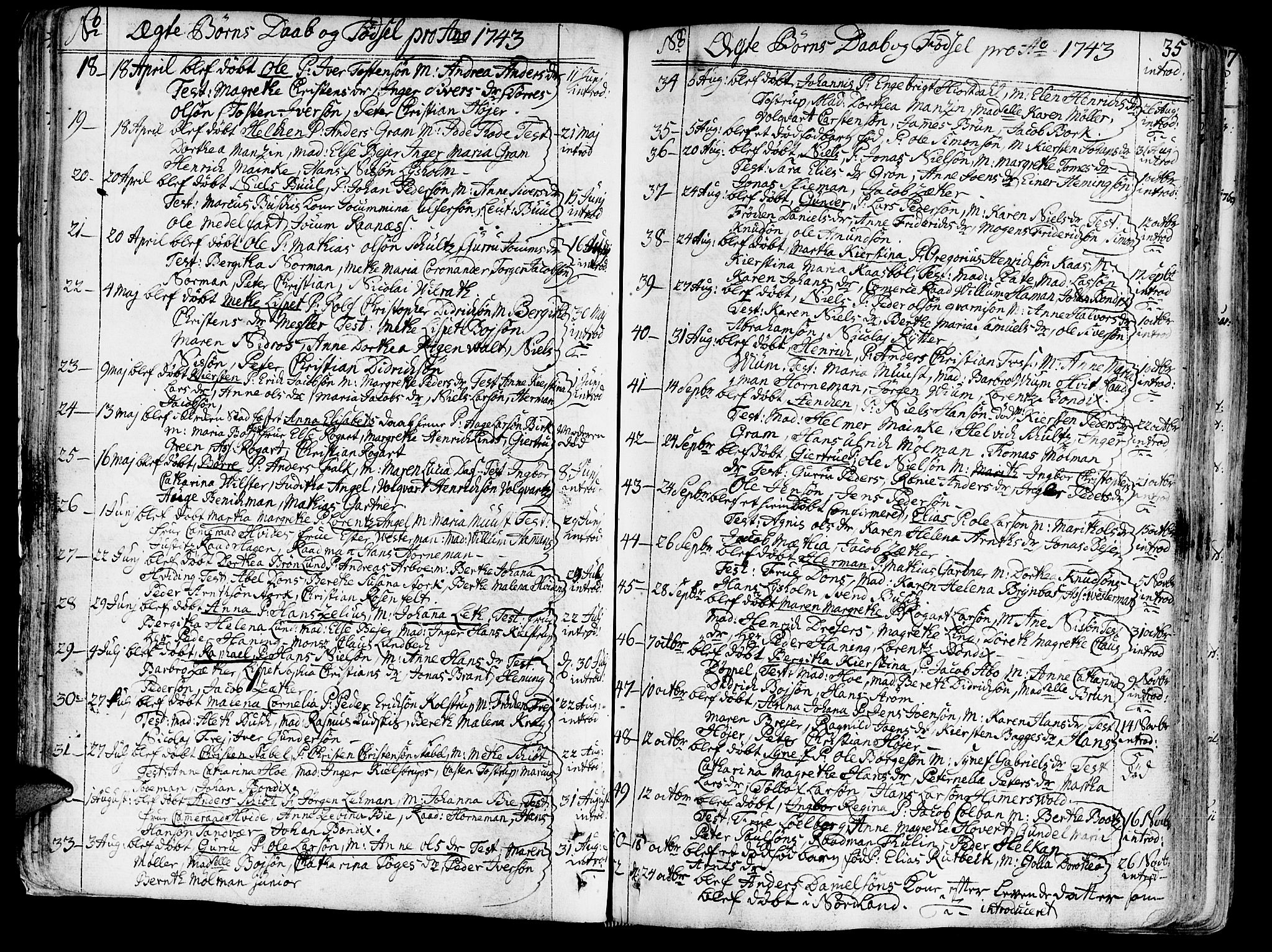 Ministerialprotokoller, klokkerbøker og fødselsregistre - Sør-Trøndelag, AV/SAT-A-1456/602/L0103: Ministerialbok nr. 602A01, 1732-1774, s. 35