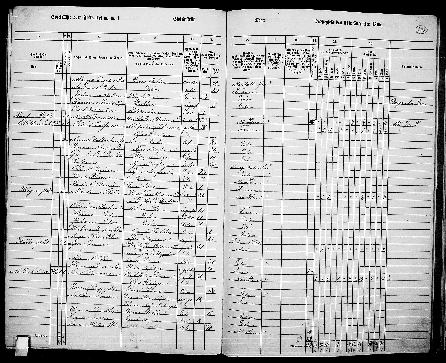 RA, Folketelling 1865 for 0215L Drøbak prestegjeld, Frogn sokn, 1865, s. 57